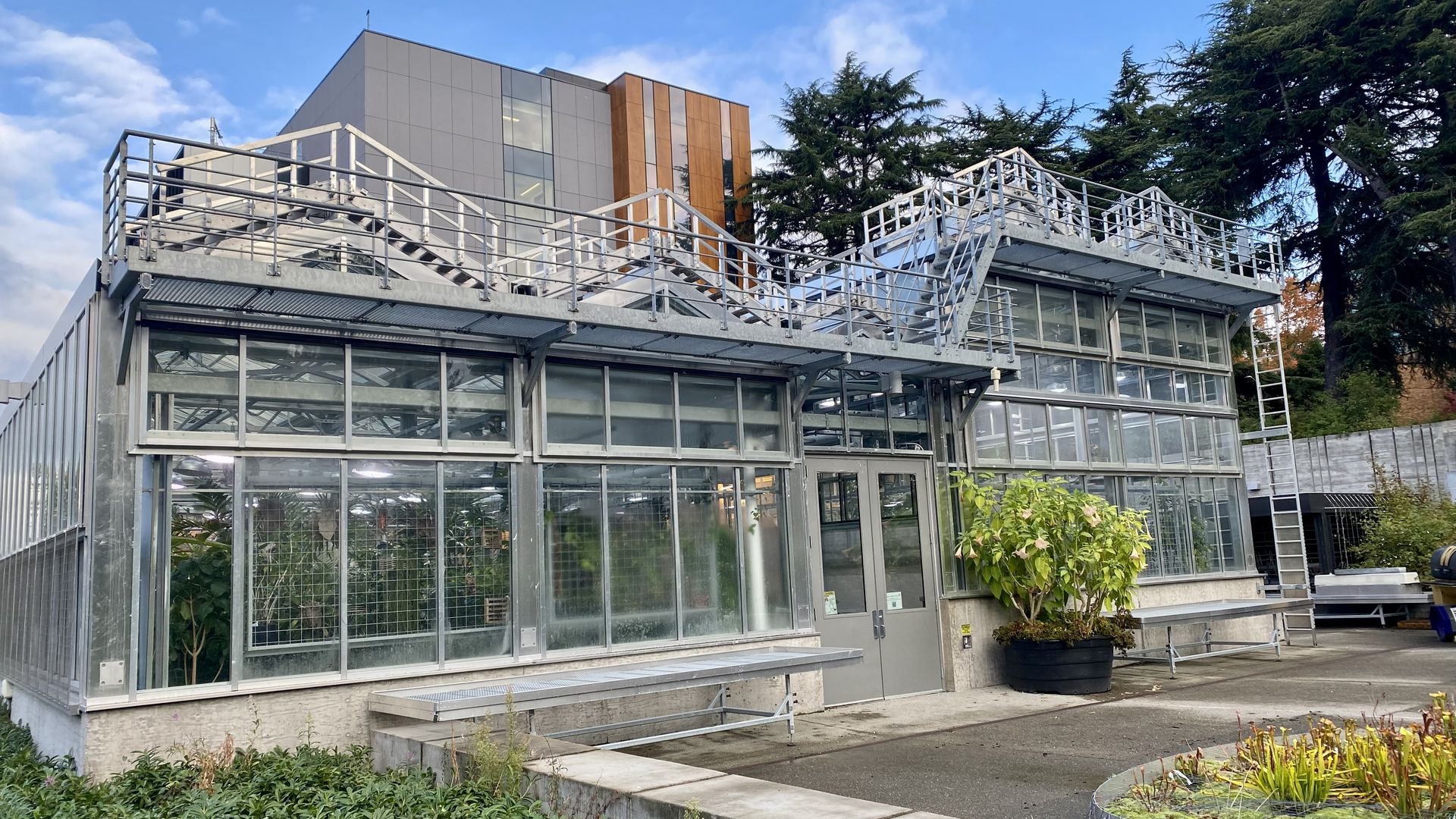 A view of a greenhouse made of metal and glass.