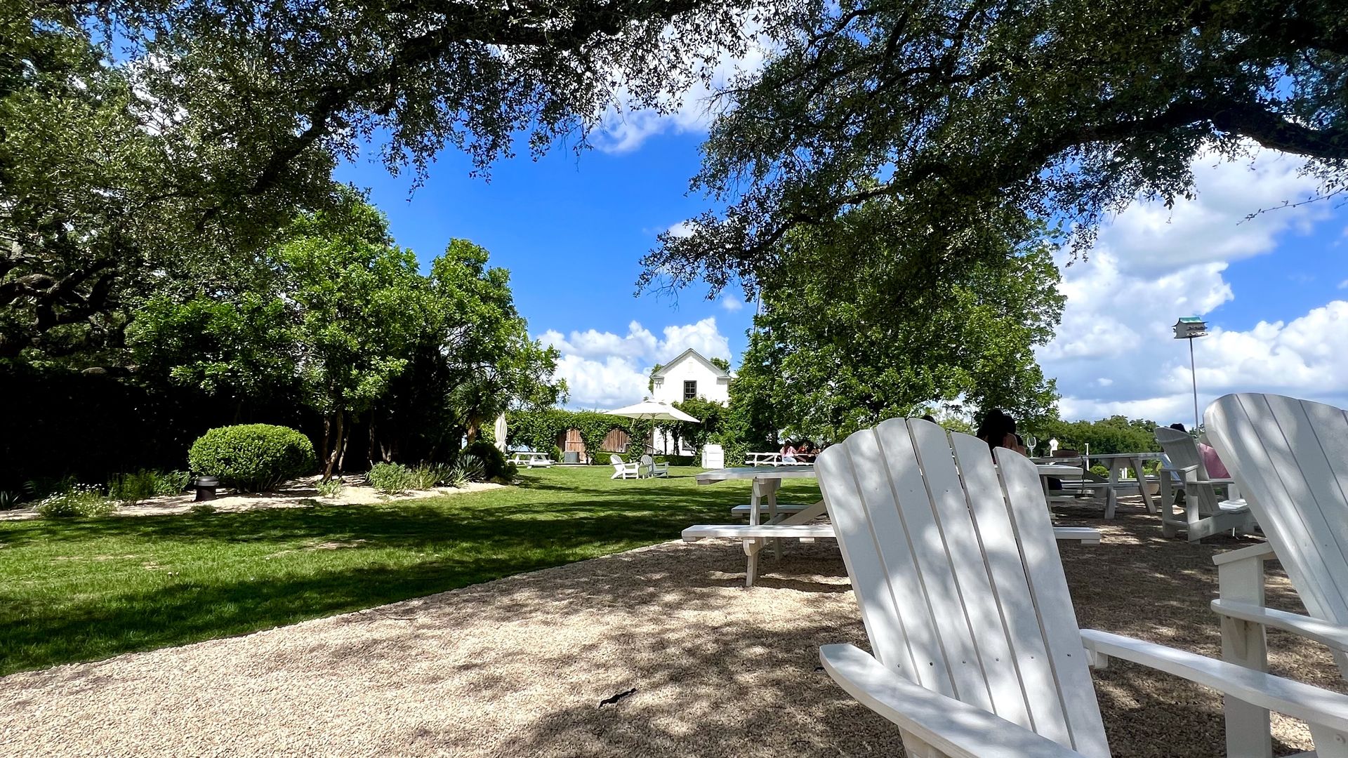A row of white Adirondack chairs sits under sprawling oak trees at Signor Vineyards in Fredericksburg, Texas. Sunlight filters through the leaves onto a gravel patio, creating a peaceful, inviting scene in the Hill Country countryside.  