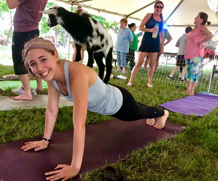 goat on back at goat yoga rock hill charlotte