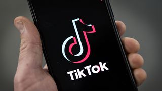 The political realities that make a nationwide TikTok ban tough