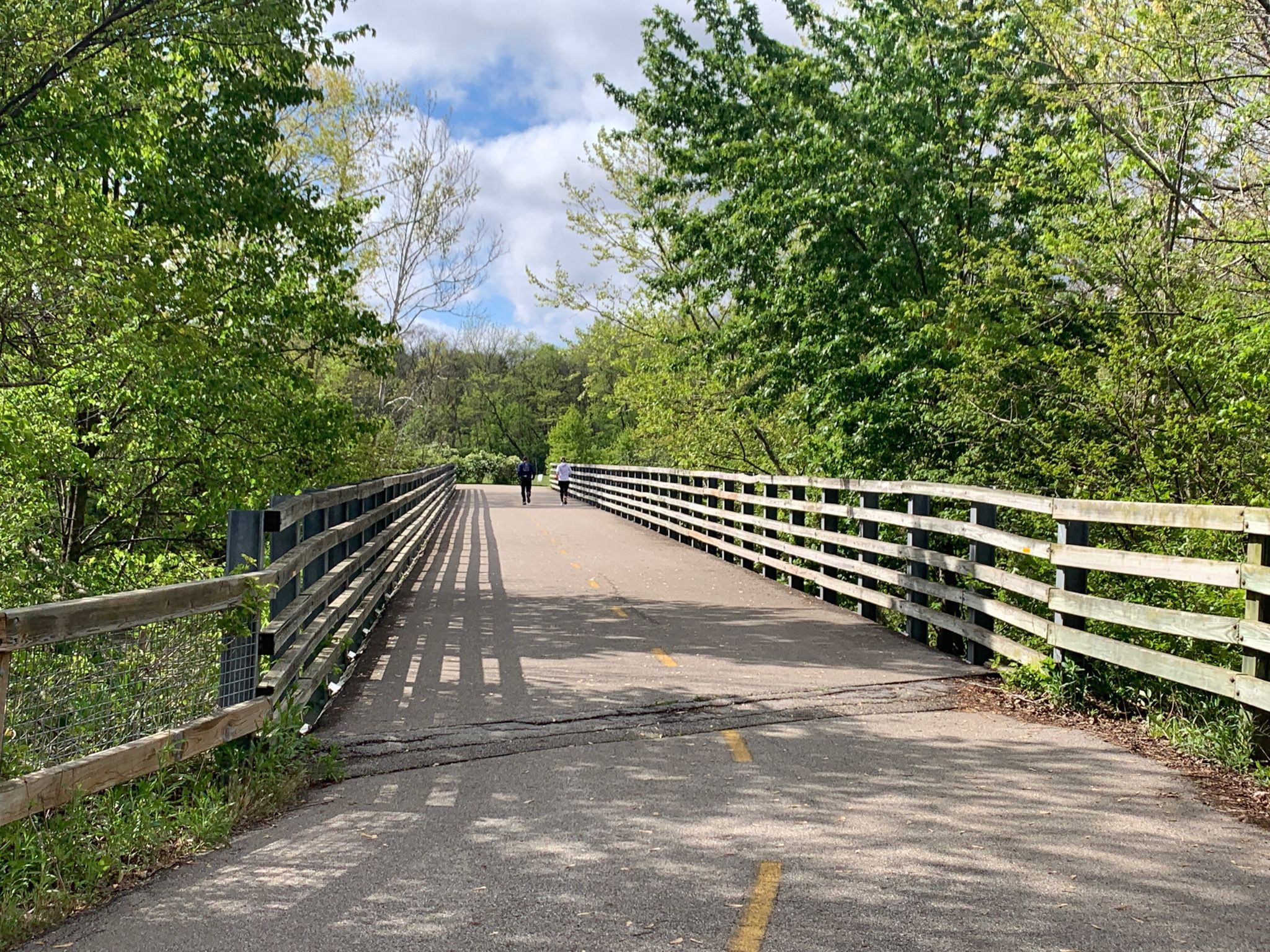 A bridge flanked by trees