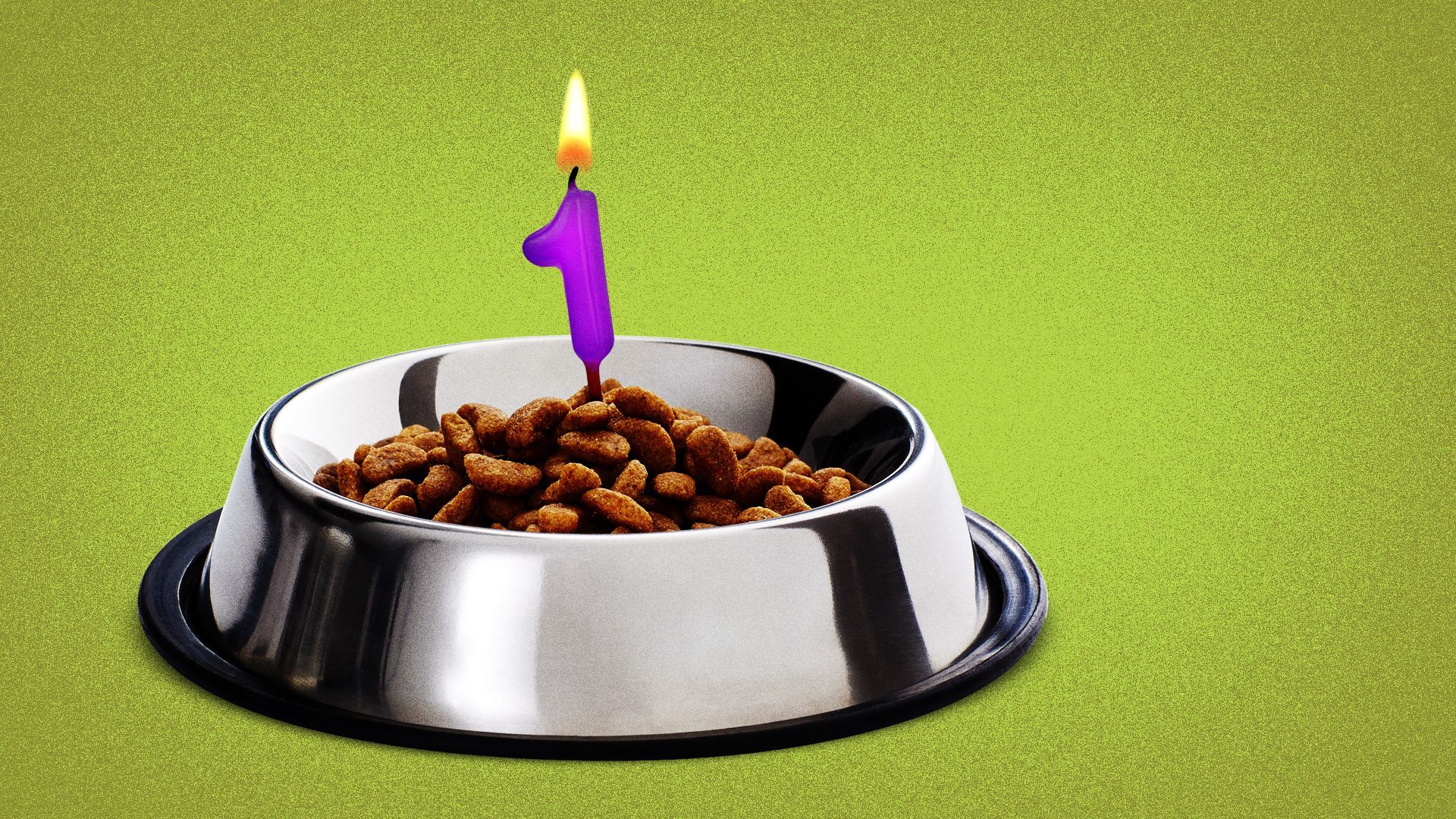 Illustration of a birthday candle in a bowl of kibble. 
