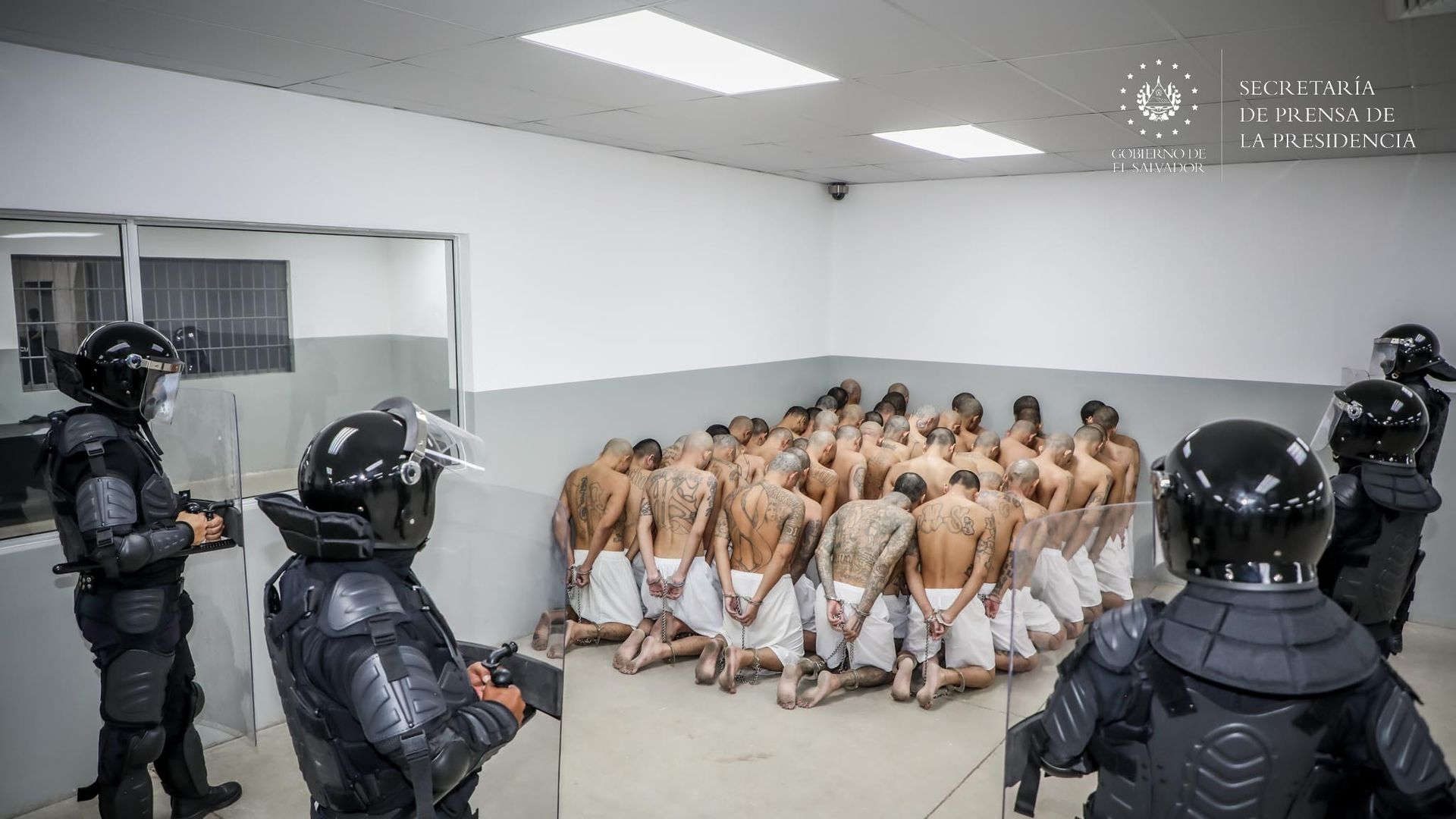 rows of shirtless Salvadoran men in white shorts are kneeled down together while wearing handcuffs as several fully armed police surround them in a prison