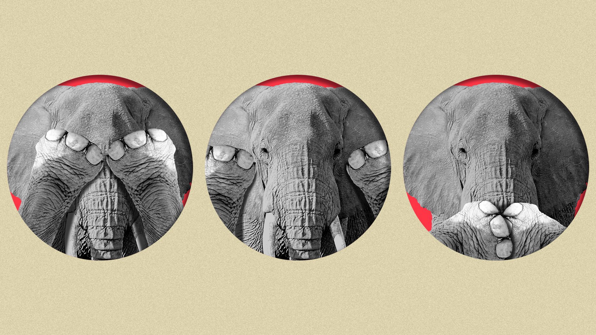 Illustration of three elephants, one covering its eyes, one covering its ears and one covering its mouth. 