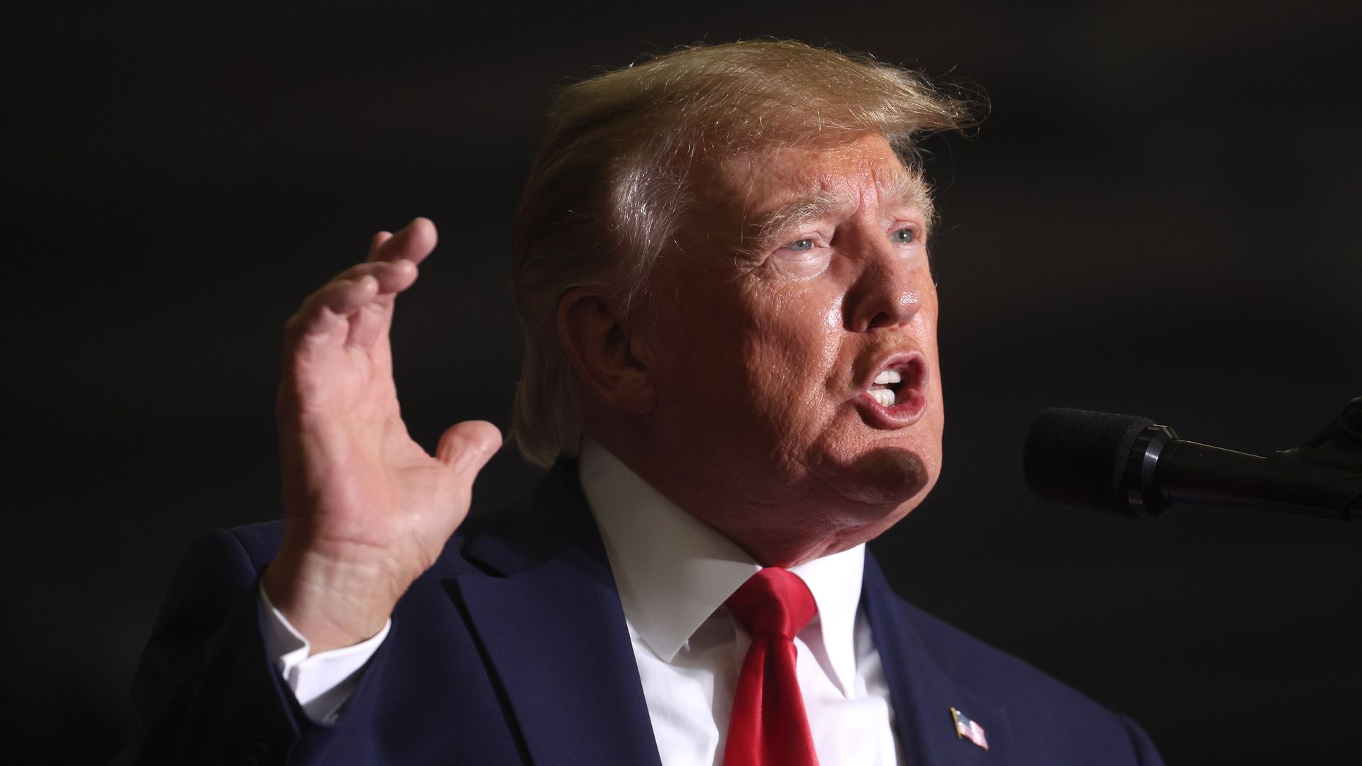 Picture of Donald Trump