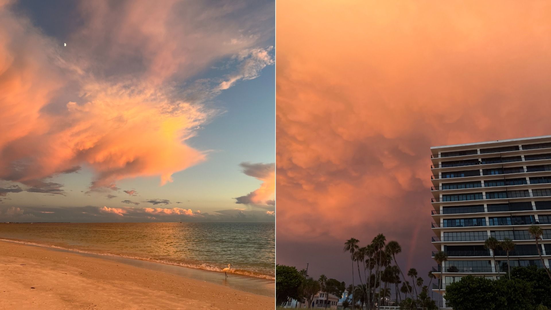 Split image: left shows a sunset beach with pink clouds and a crescent moon over calm water; right shows an orange sky above a modern high-rise building and palm trees.