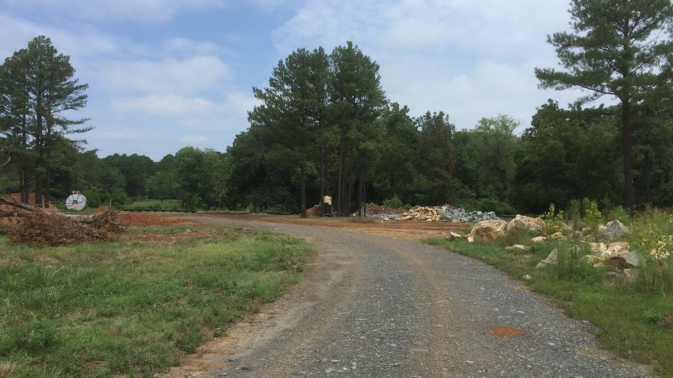 Two apartment buildings have been demolished to create a nature reserve ...