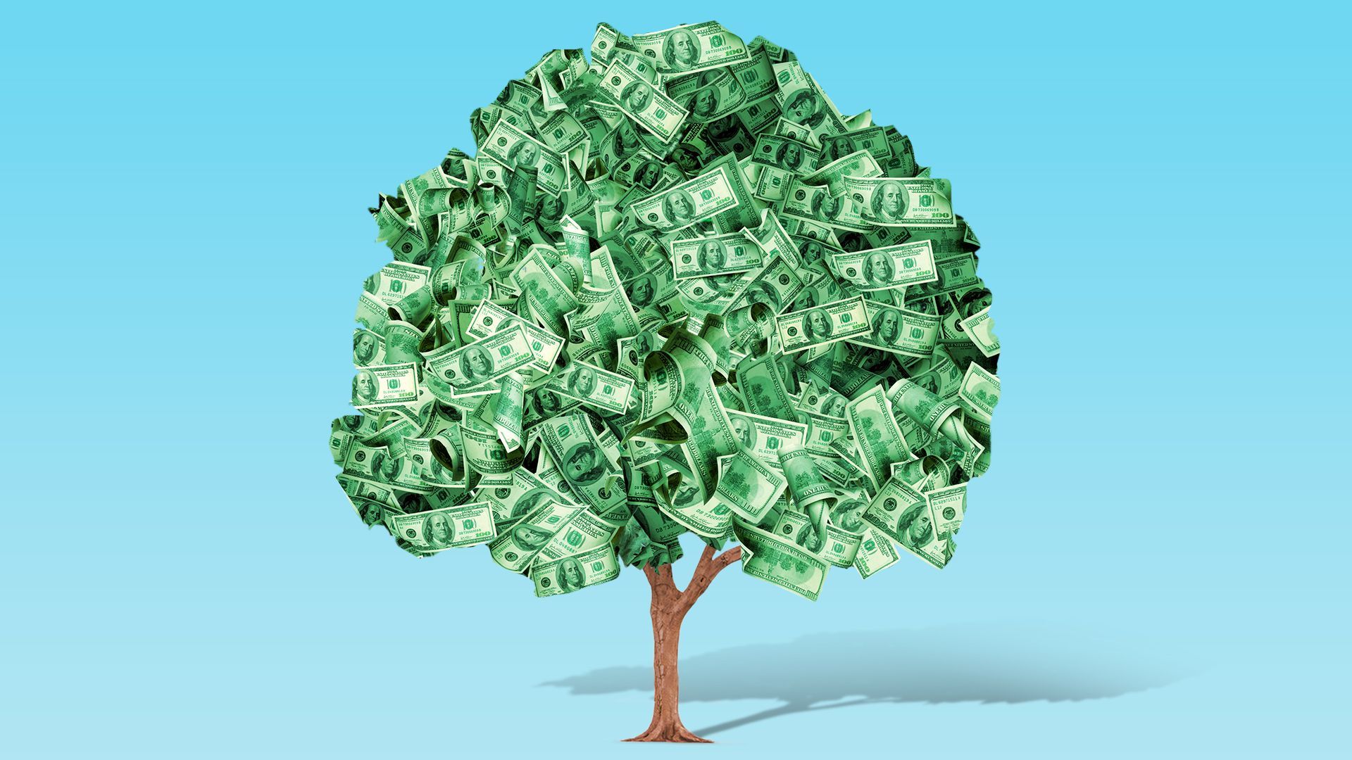 Illustration of a tree with money as the leaves.