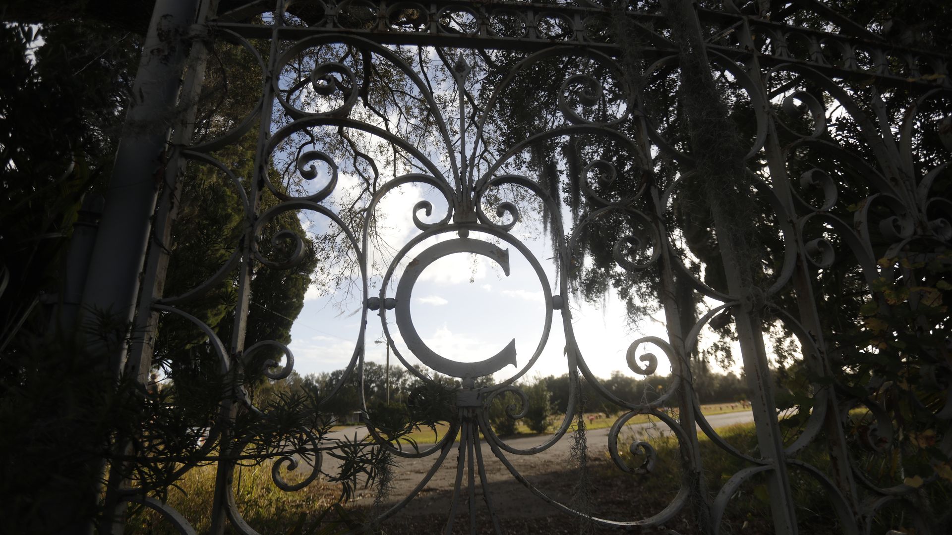 The overgrown corner of an East Tampa cemetery. Photo: Octavio Jones/Axios