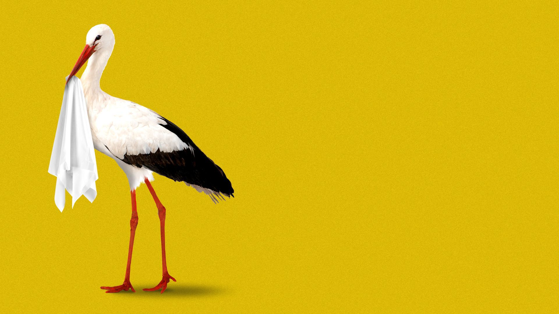 Illustration of a stork carrying an empty blanket