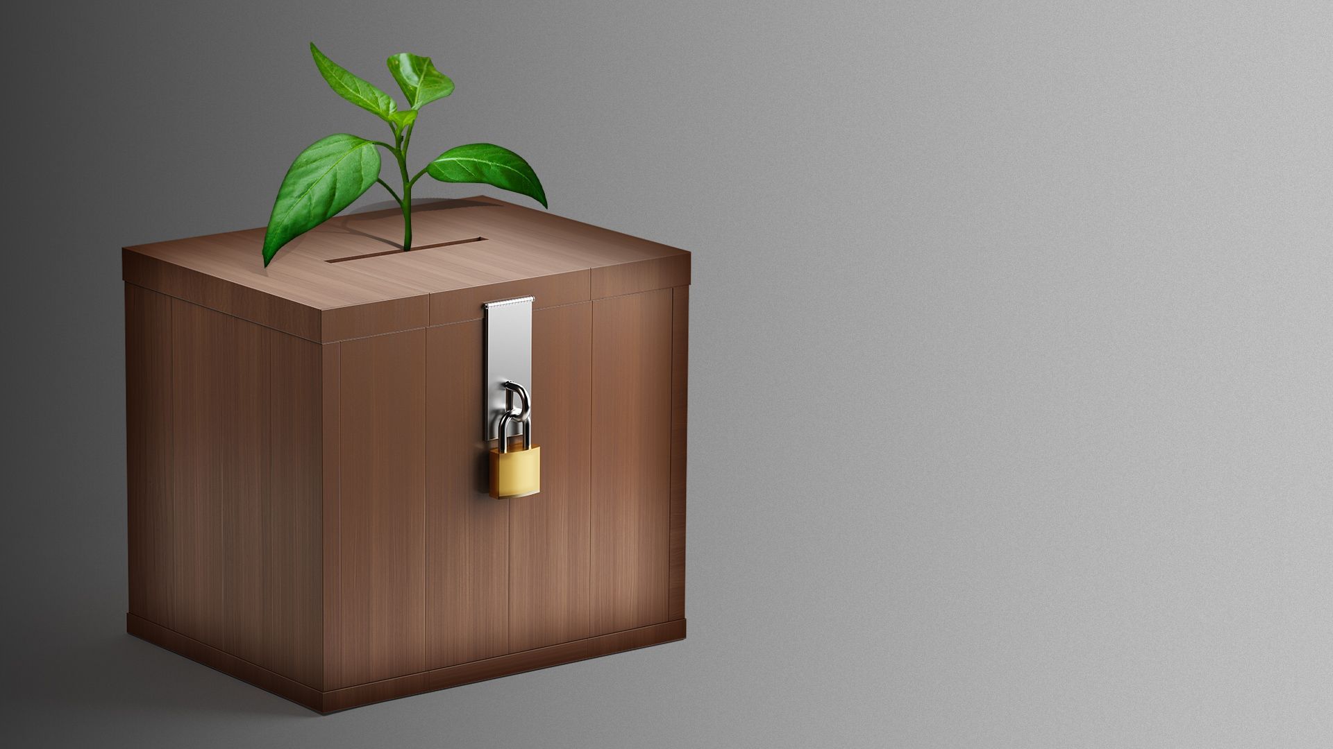 Illustration of a ballot box with a small plant growing up through the ballot slot. 