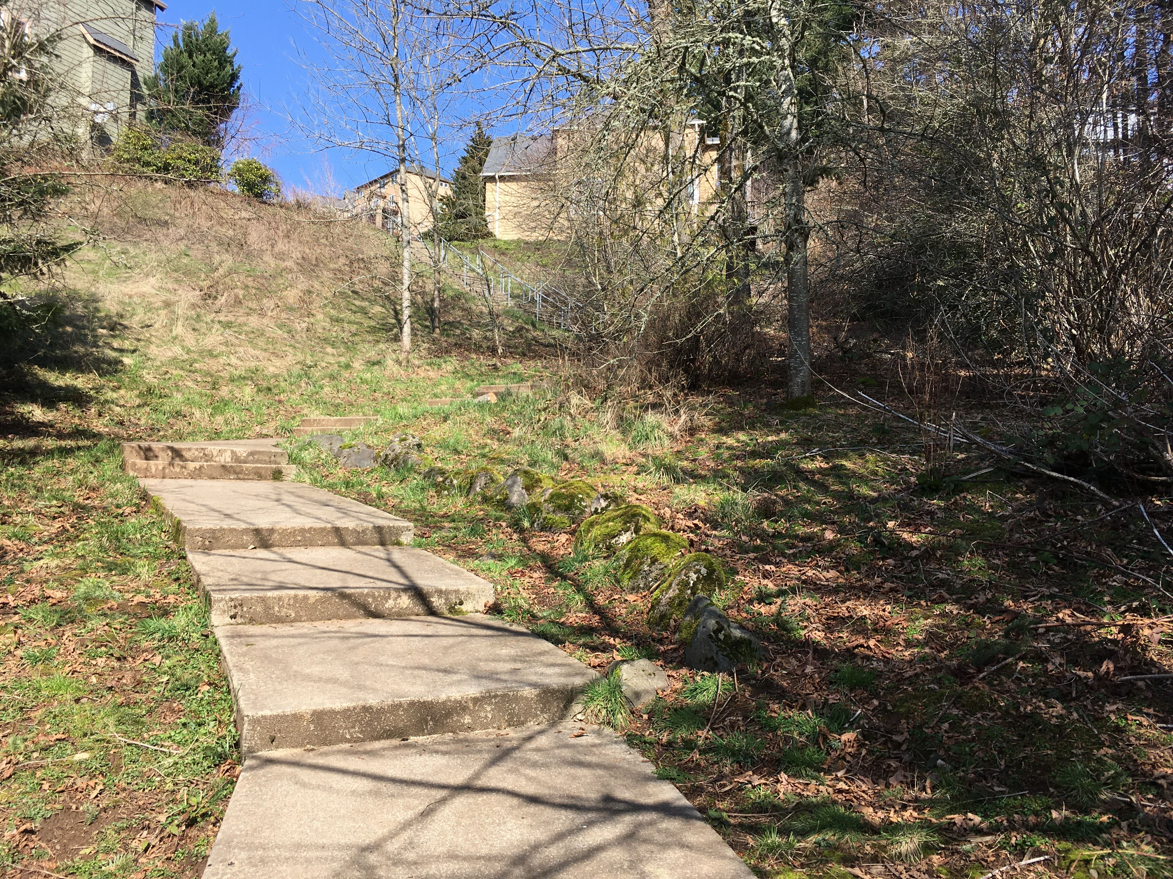 Low concrete steps wind through a hillside.