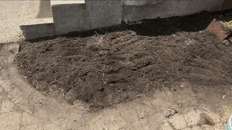 A gif of a plant bed that goes from dirt to full of flowers.