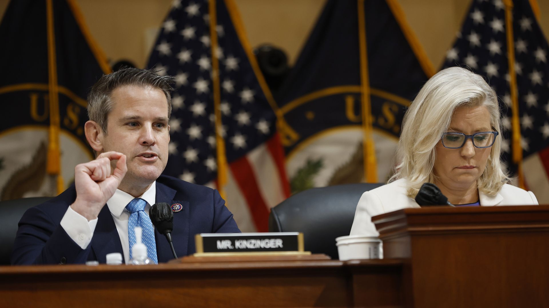 Adam Kinzinger and Liz Cheney