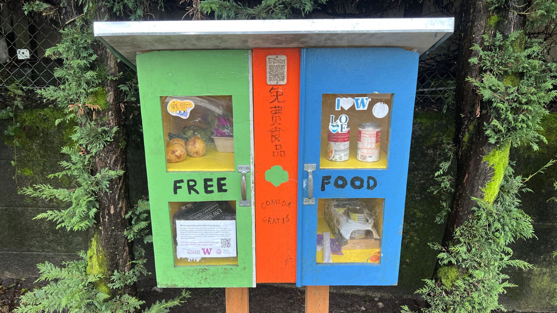 Colorful community food pantry with green left door, blue right door, and an orange center pillar on a wooden stand; windows show items; FREE and FOOD painted on the doors, ivy in the background.