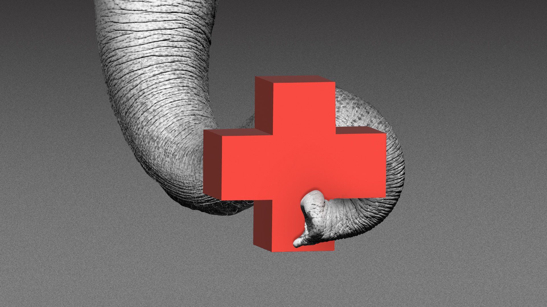 Illustration of a red health plus being held by an elephant trunk
