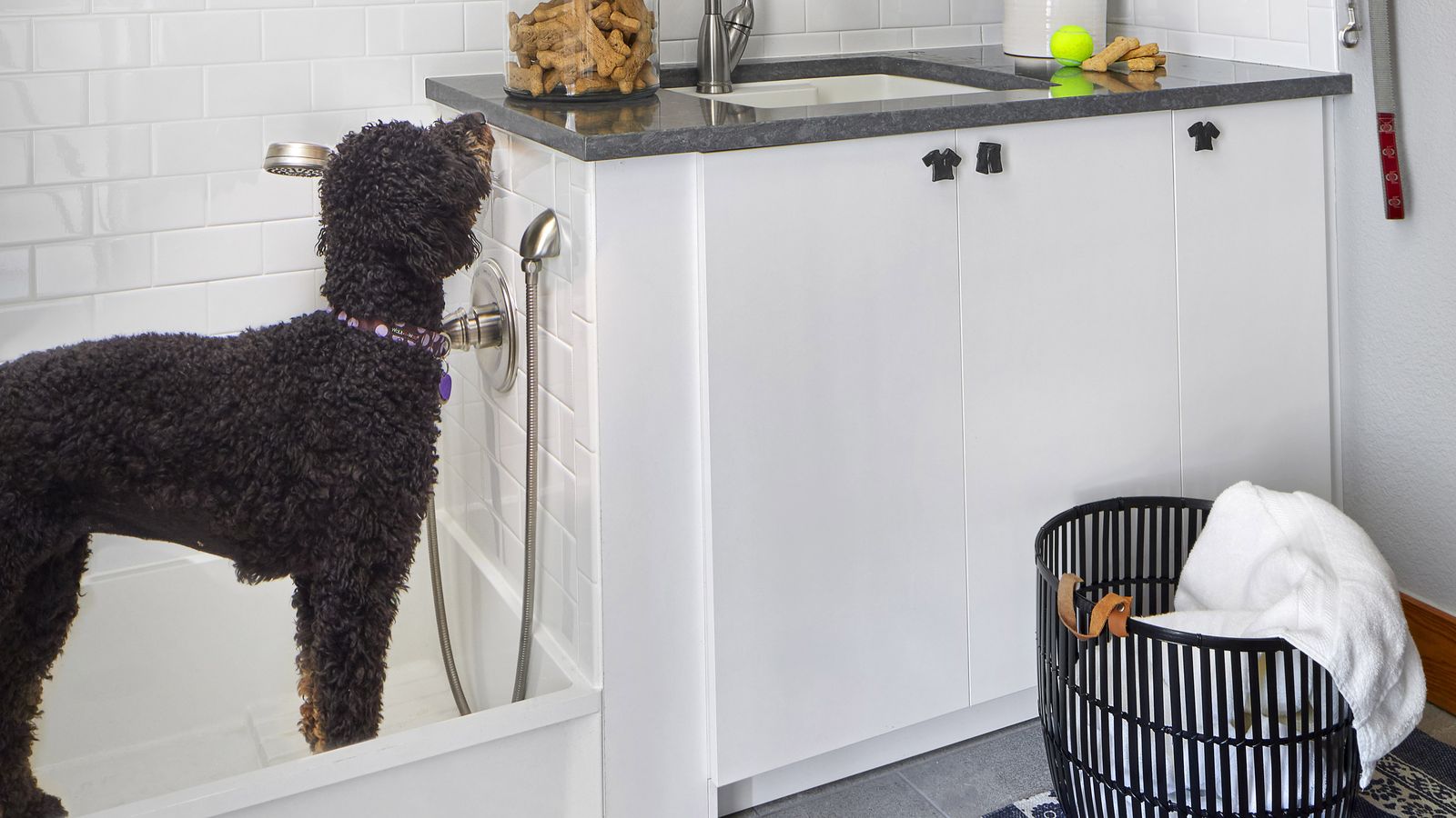 Denver homeowners build petfriendly spaces Dog spas, feeding stations