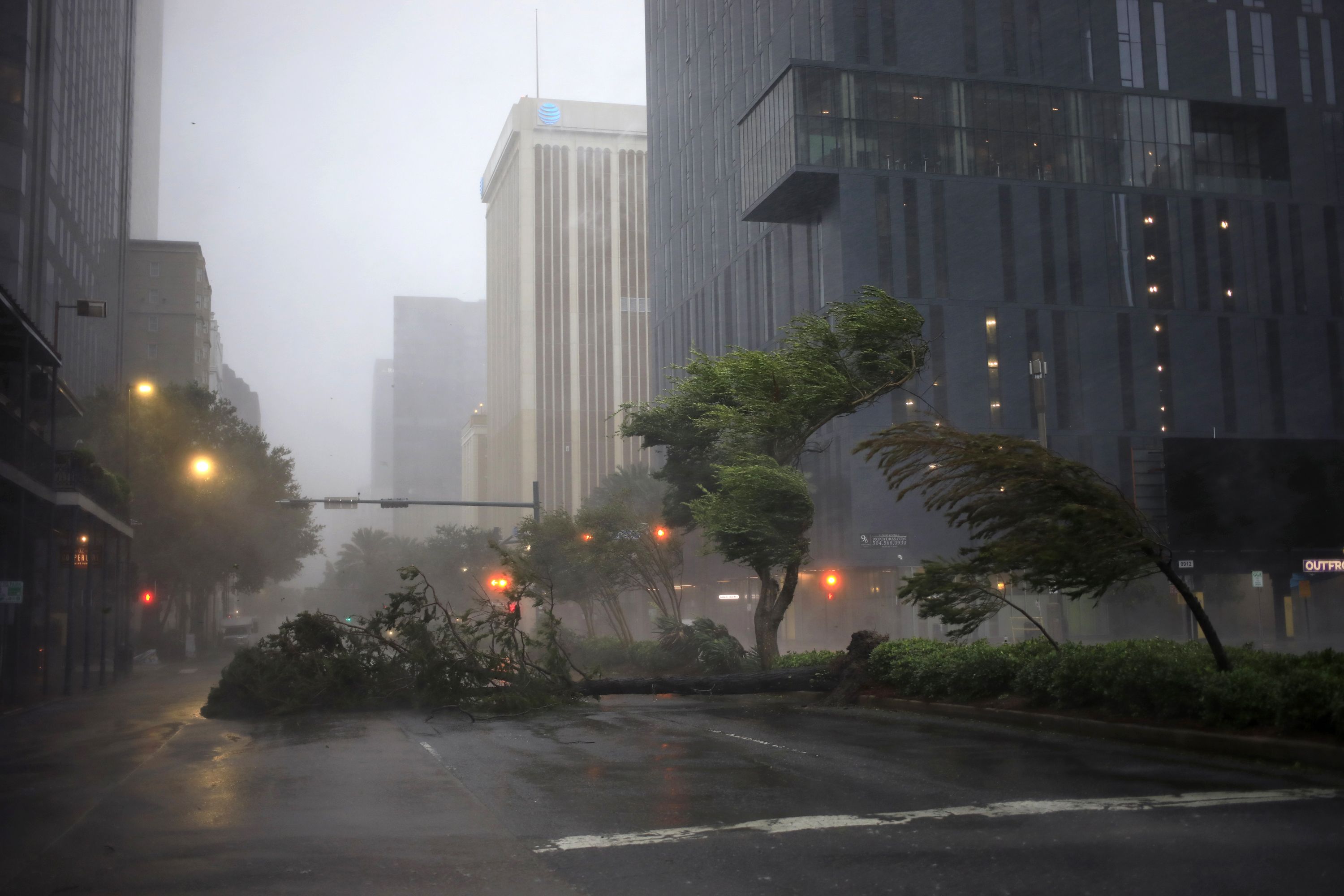  Trees sway in the wind from Hurricane Ida in downtown New Orleans, Louisiana, U.S., on Sunday, Aug. 29