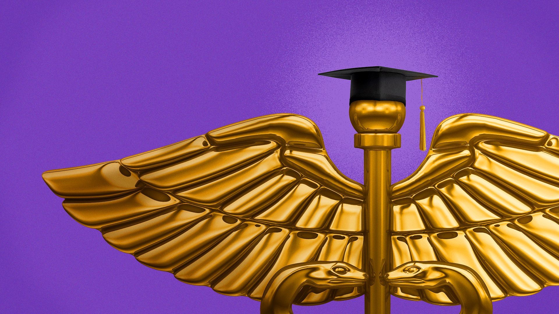 Illustration of a caduceus wearing a graduation cap.