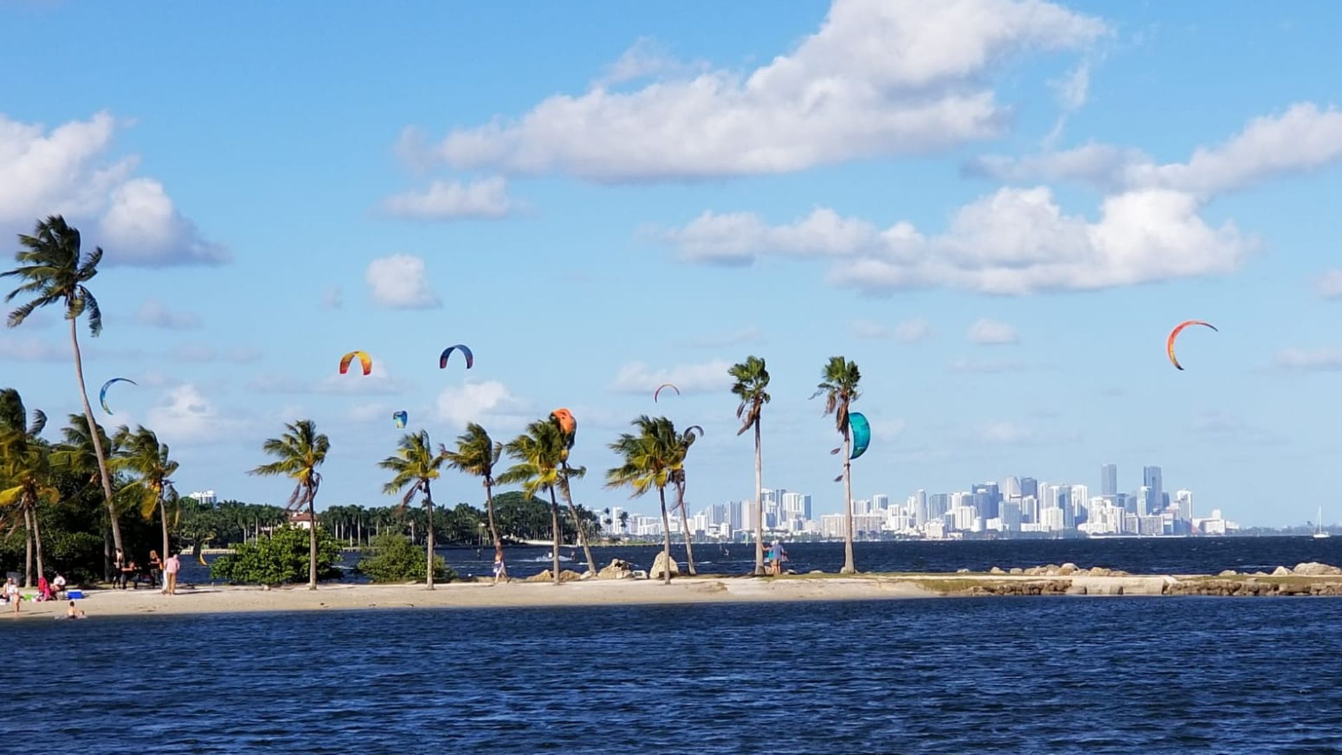 Blue water with a sandy shore lined with palm trees, colorful kite surfers in the sky, and a city skyline under a partly cloudy blue sky in the background.