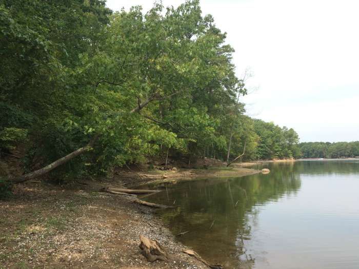 McDowell Nature Preserve