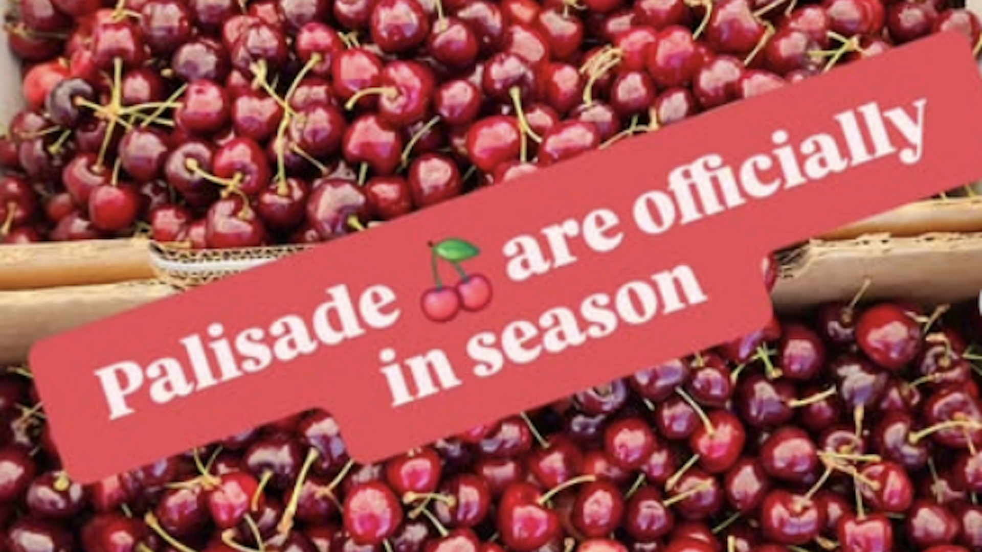 Close-up of a heap of glossy red cherries with yellow stems, overlaid by a pink banner that says Palisade are officially in season 🍒.