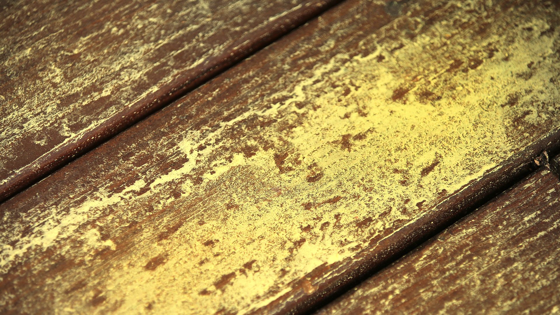 Pollen from pine trees covering a deck in Pembroke, MA. Photo: John Tlumacki/The Boston Globe via Getty Images