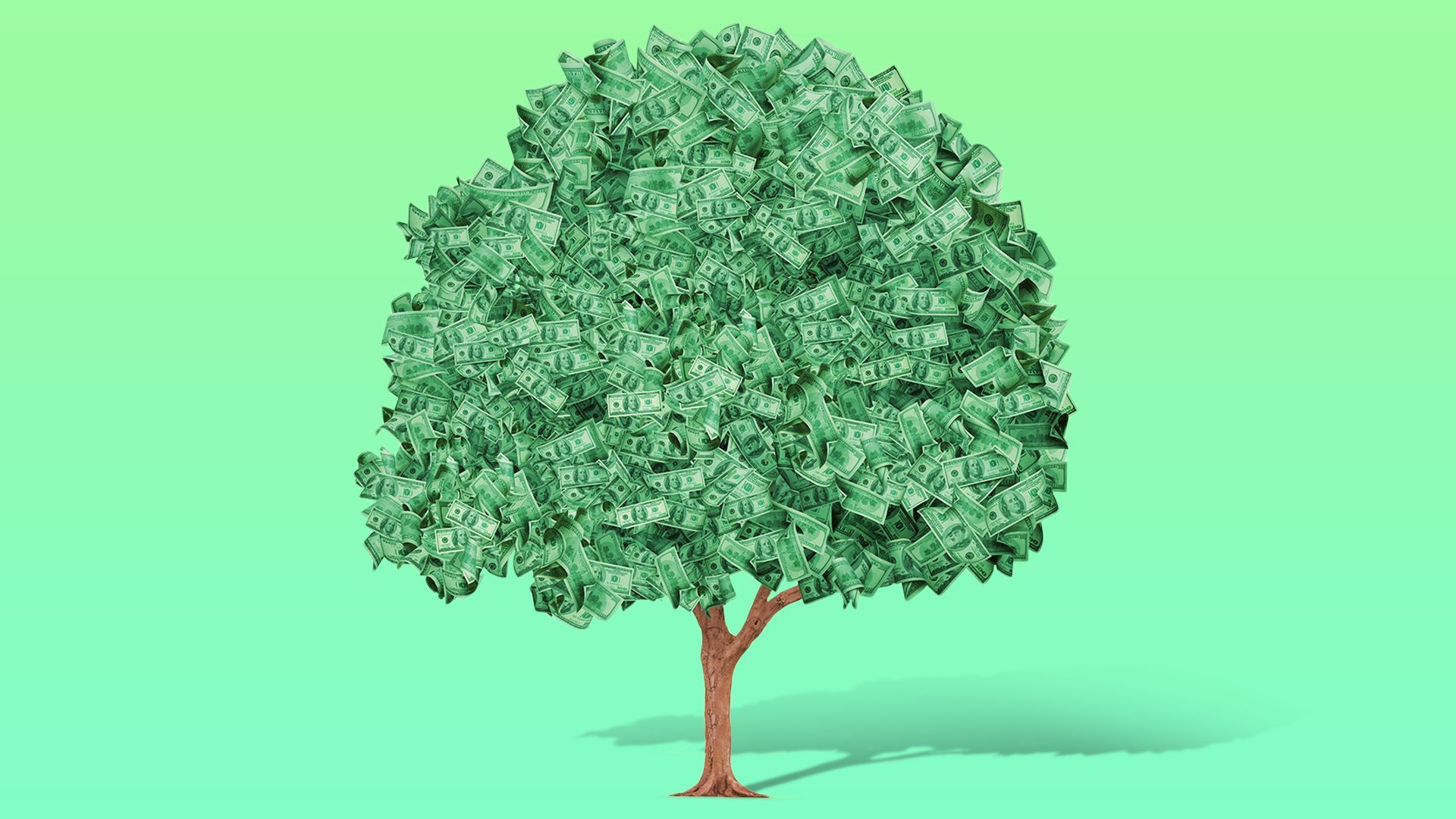 Illustration of a tree with money as the leaves. 
