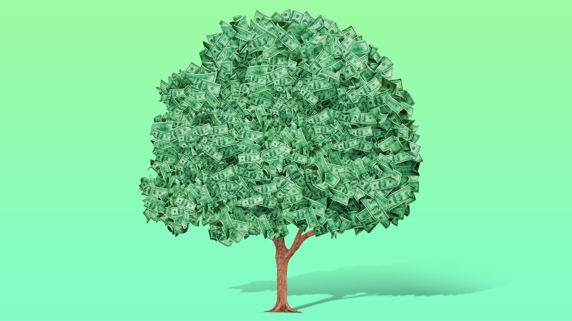 Illustration of a tree with money as the leaves.