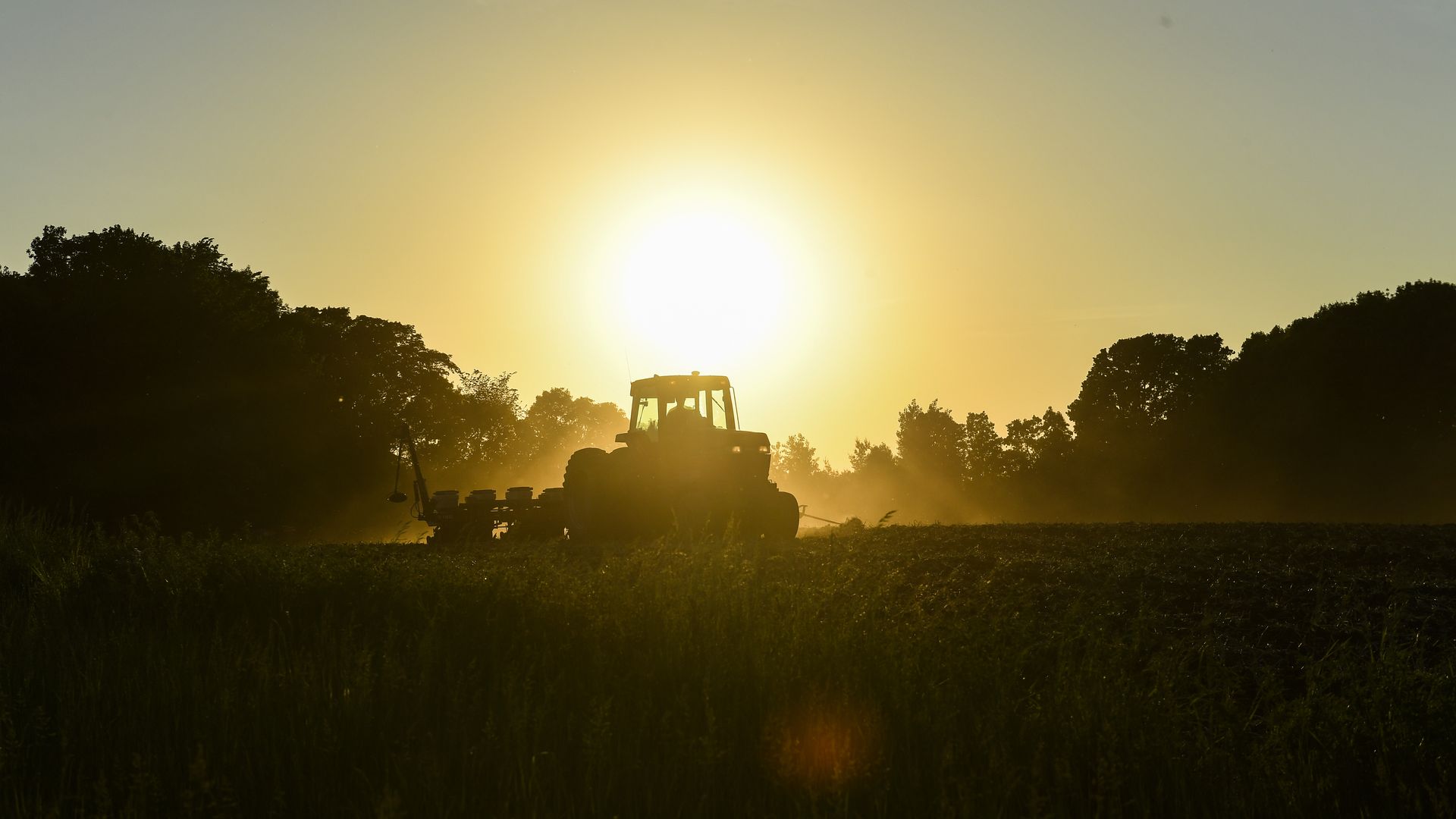 A tractor in the sunlight. 