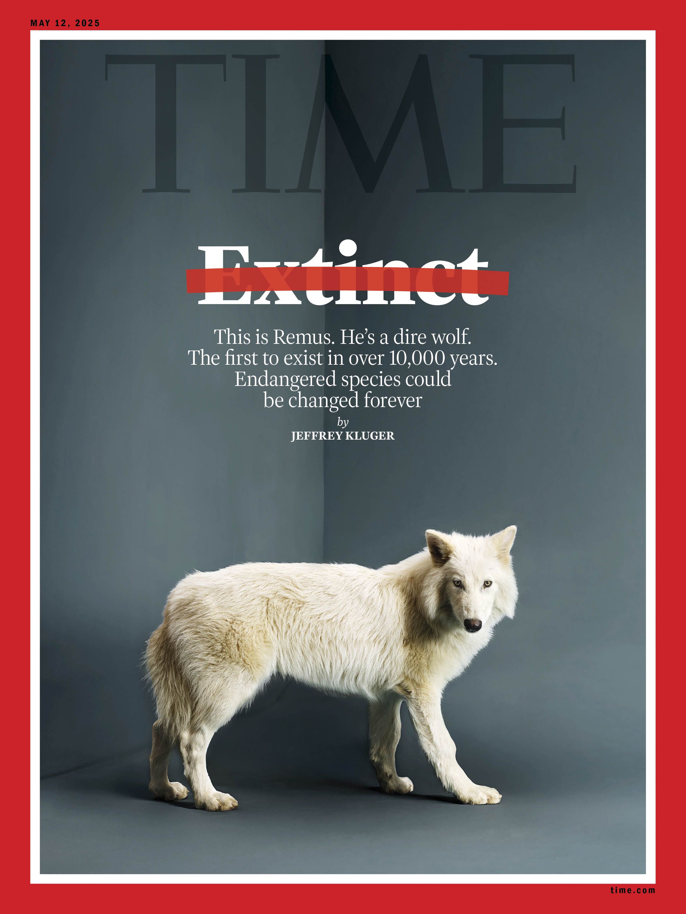 Time cover with wolf