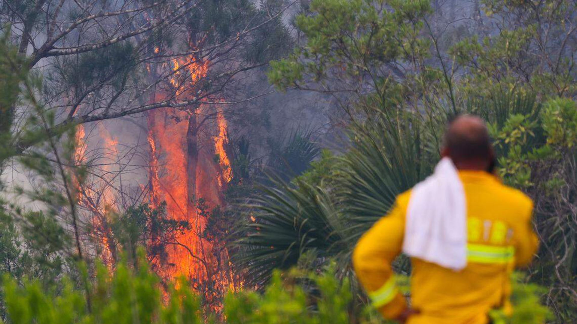 Florida Forest Service personnel monitor a wildfire just west of U.S. 1 and SW 344th Street while battling the blaze with helicopter water drops and ground crews on Monday, May 11, 2026, in Florida City, Fla. (Carl Juste/Miami Herald/Tribune News Service via Getty Images)

