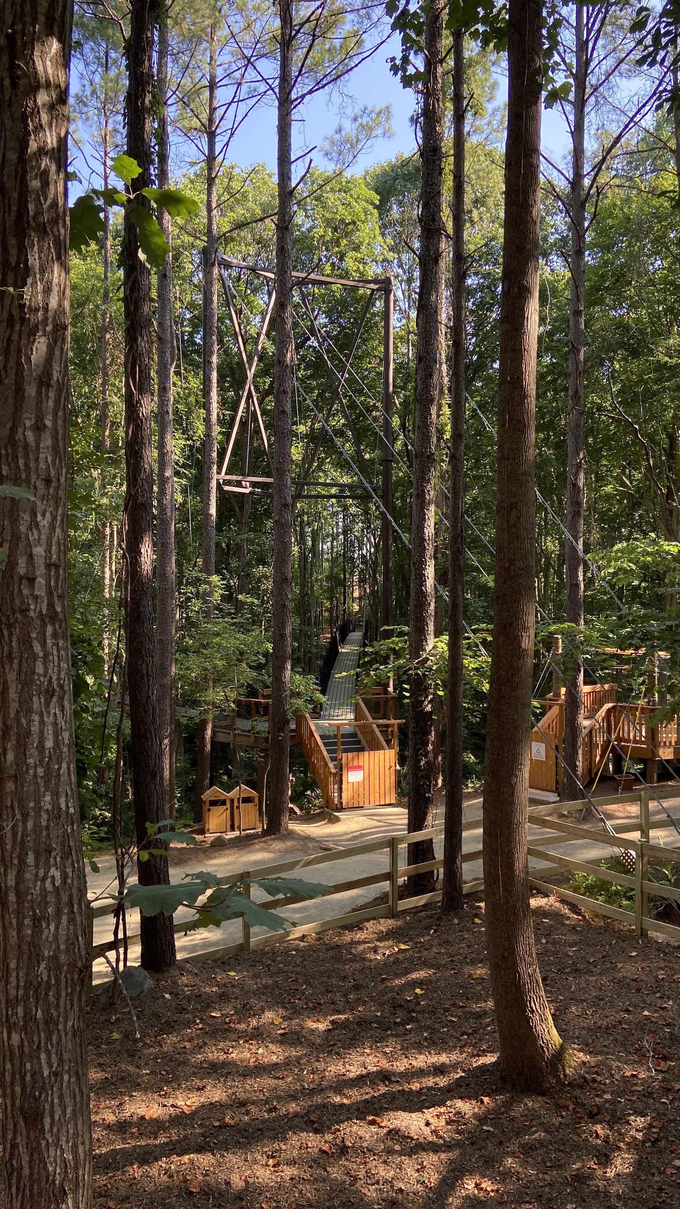 The bridge you'll take to Wildwoods run over the canyon, through the woods.