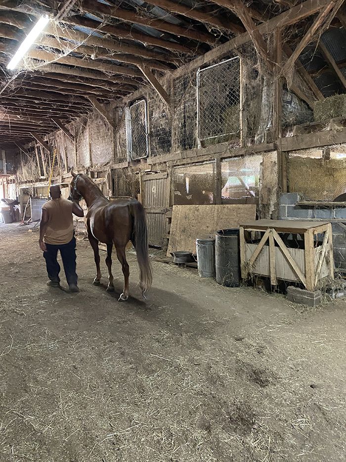 Bobby and Ron Martin, big m stables, druid hills, black cowboy, charlotte