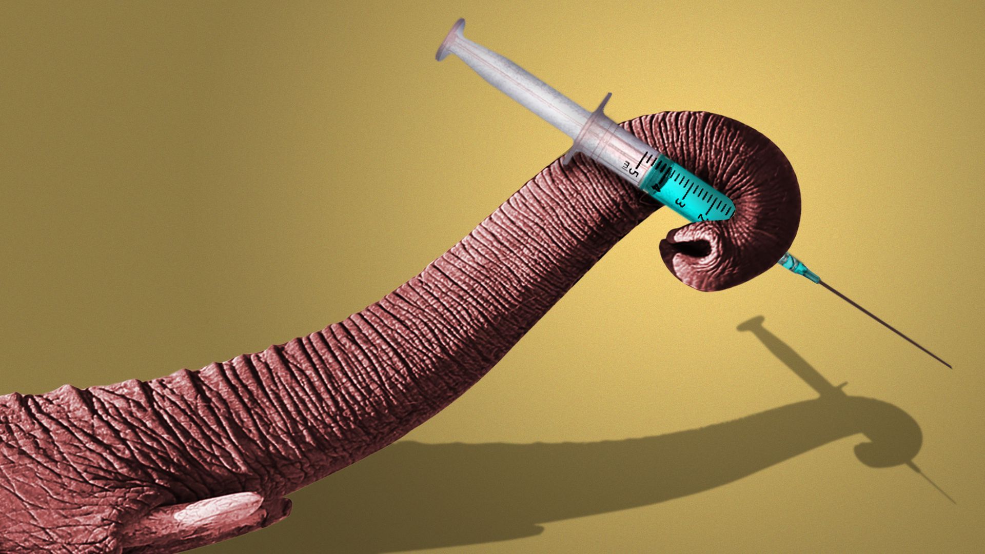 Illustration of an elephant's trunk holding a syringe.
