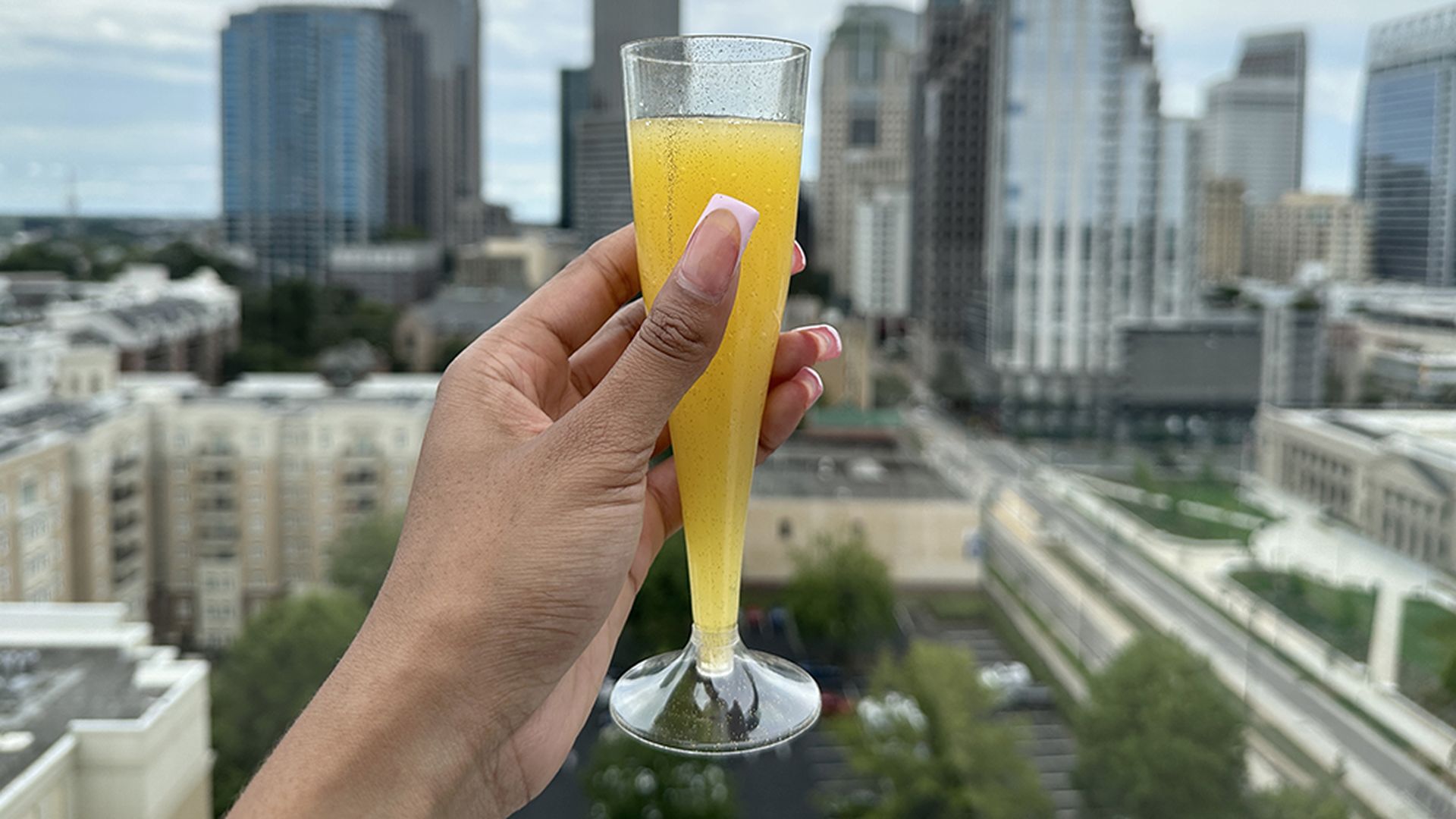 Charlotte skyline with mimosa