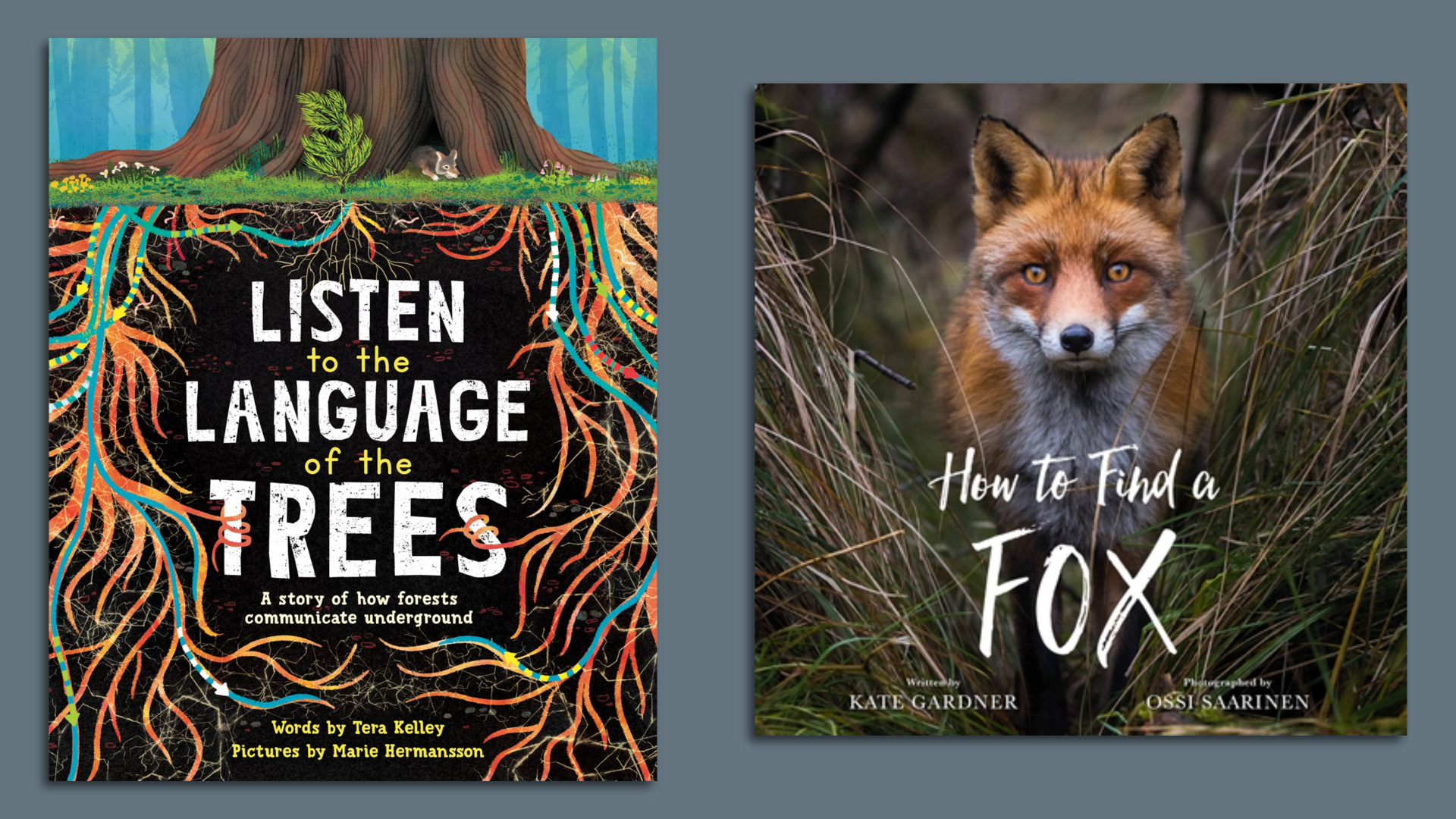 Two book covers.