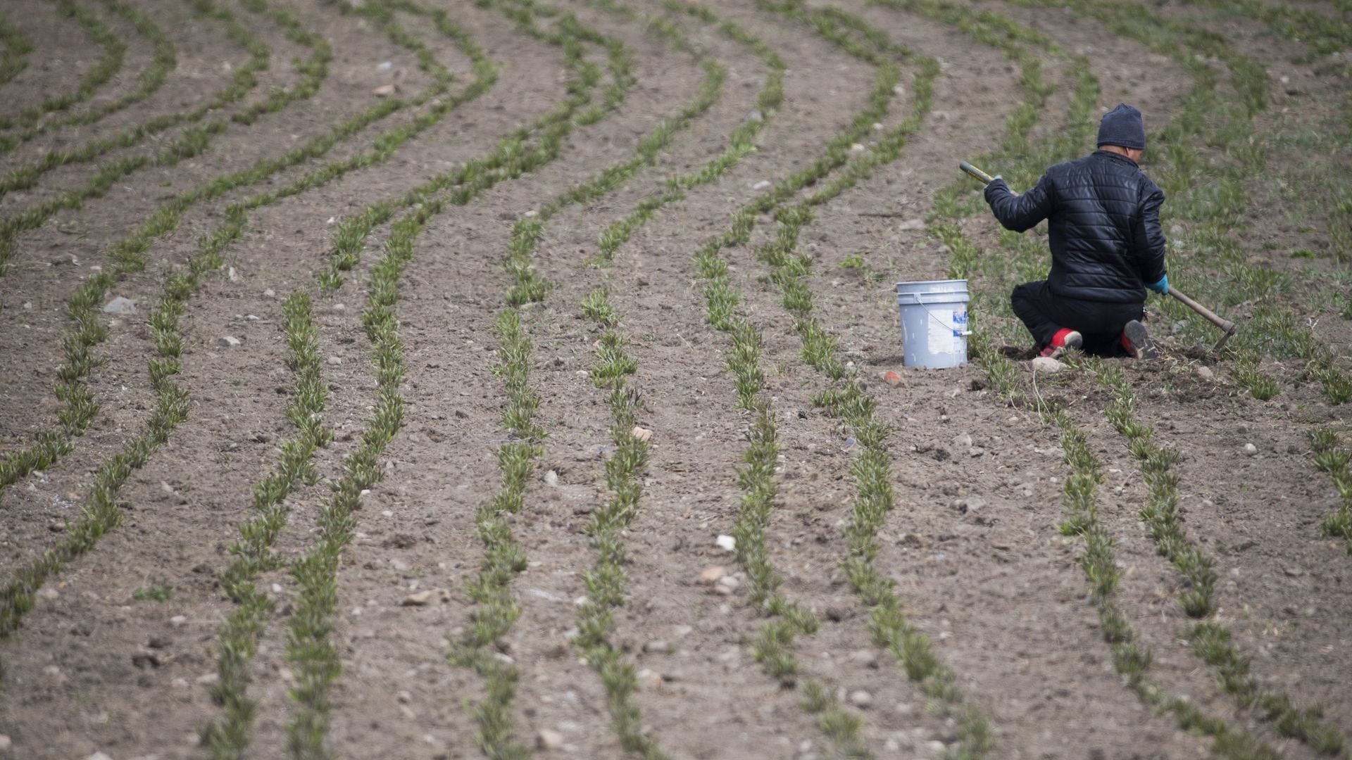 A man tending to a farm in Canada