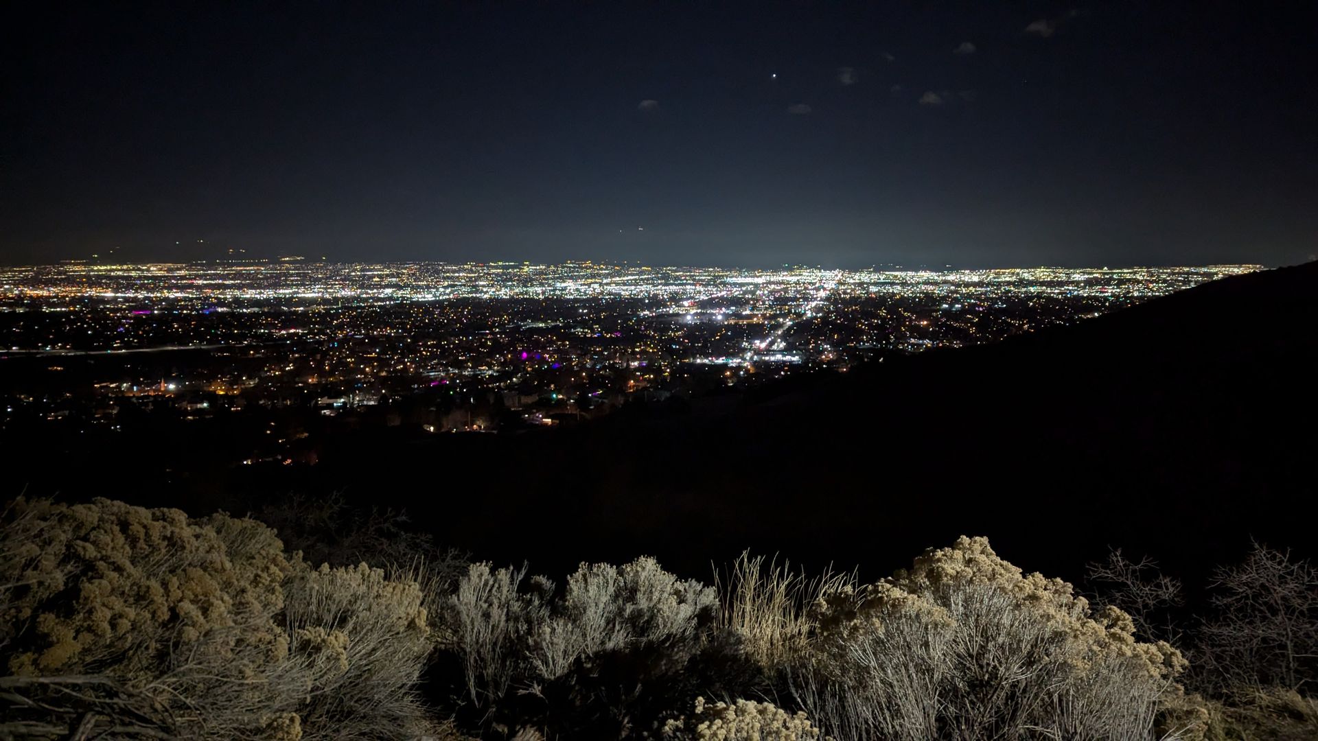 A city at night, viewed from a hill above it with rabbitbrush in the foreground.