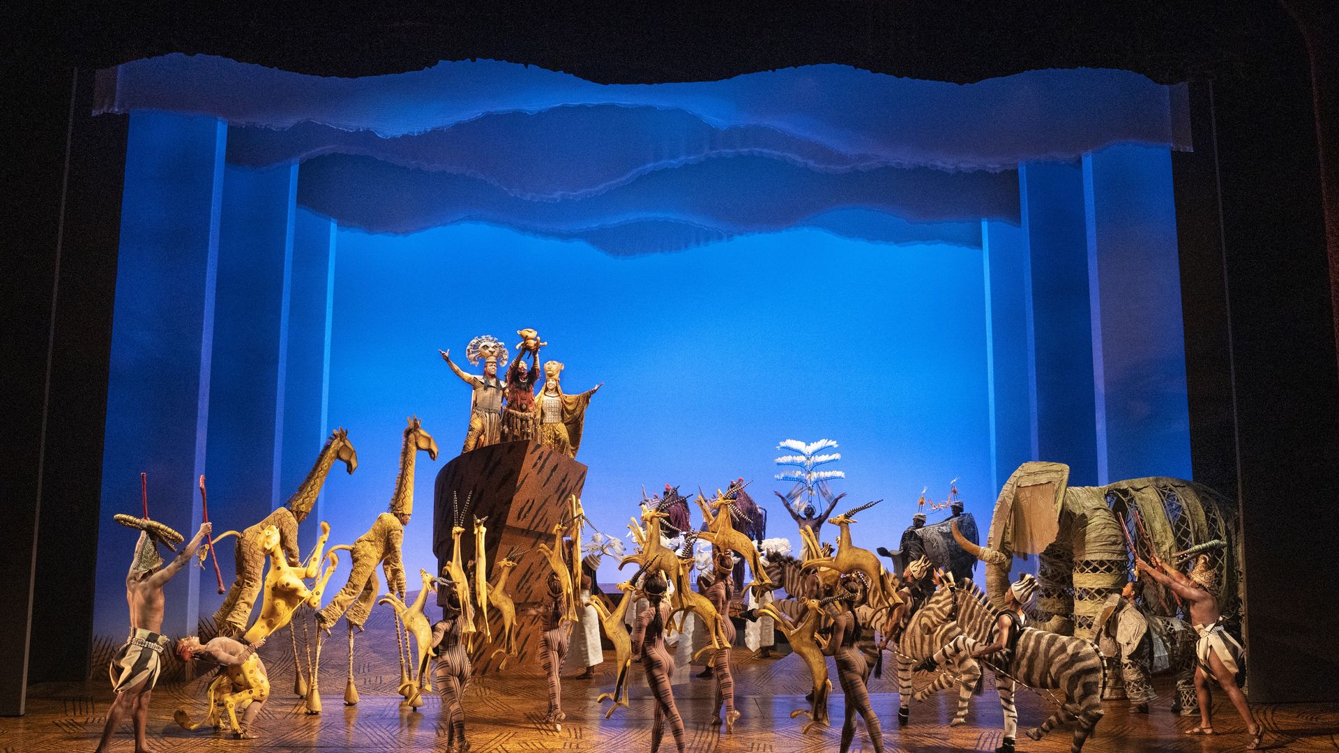 Lion King Musical coming to charlotte