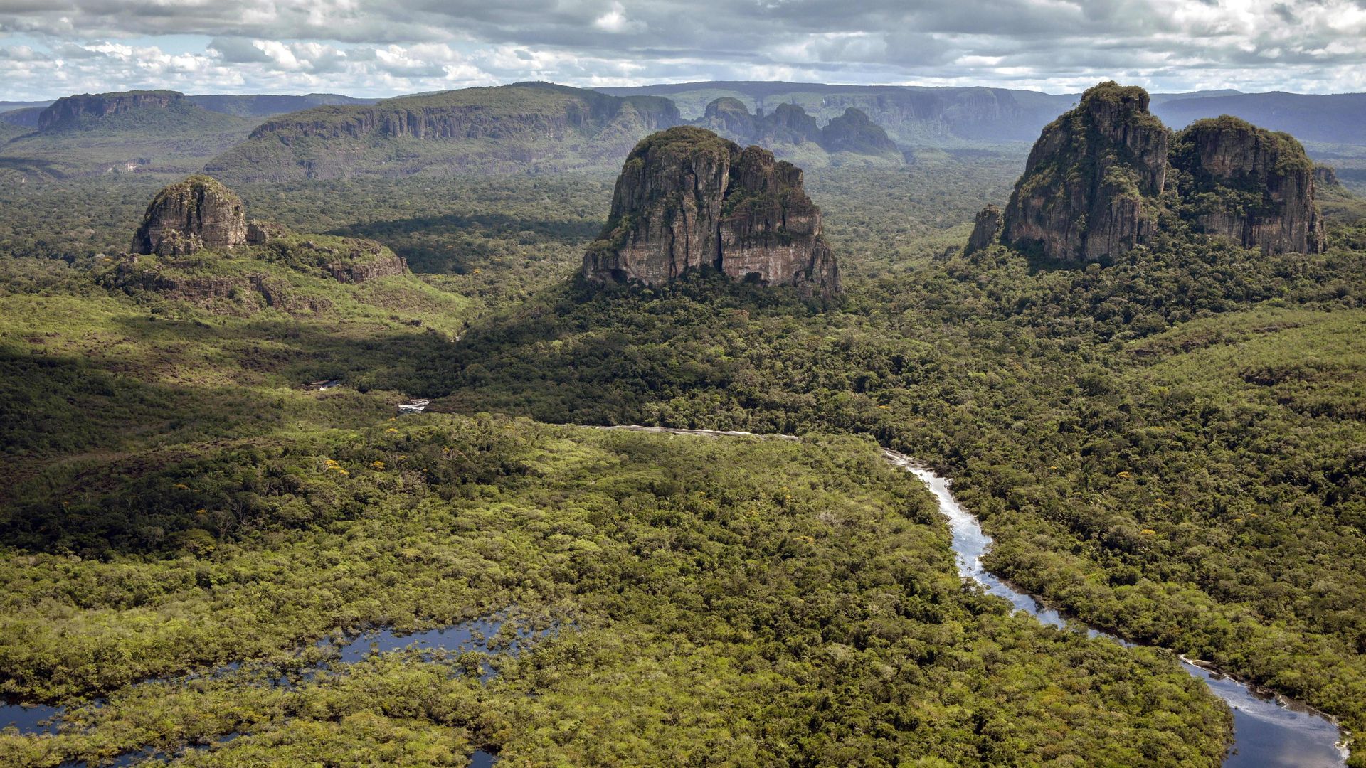 Colombia jungle