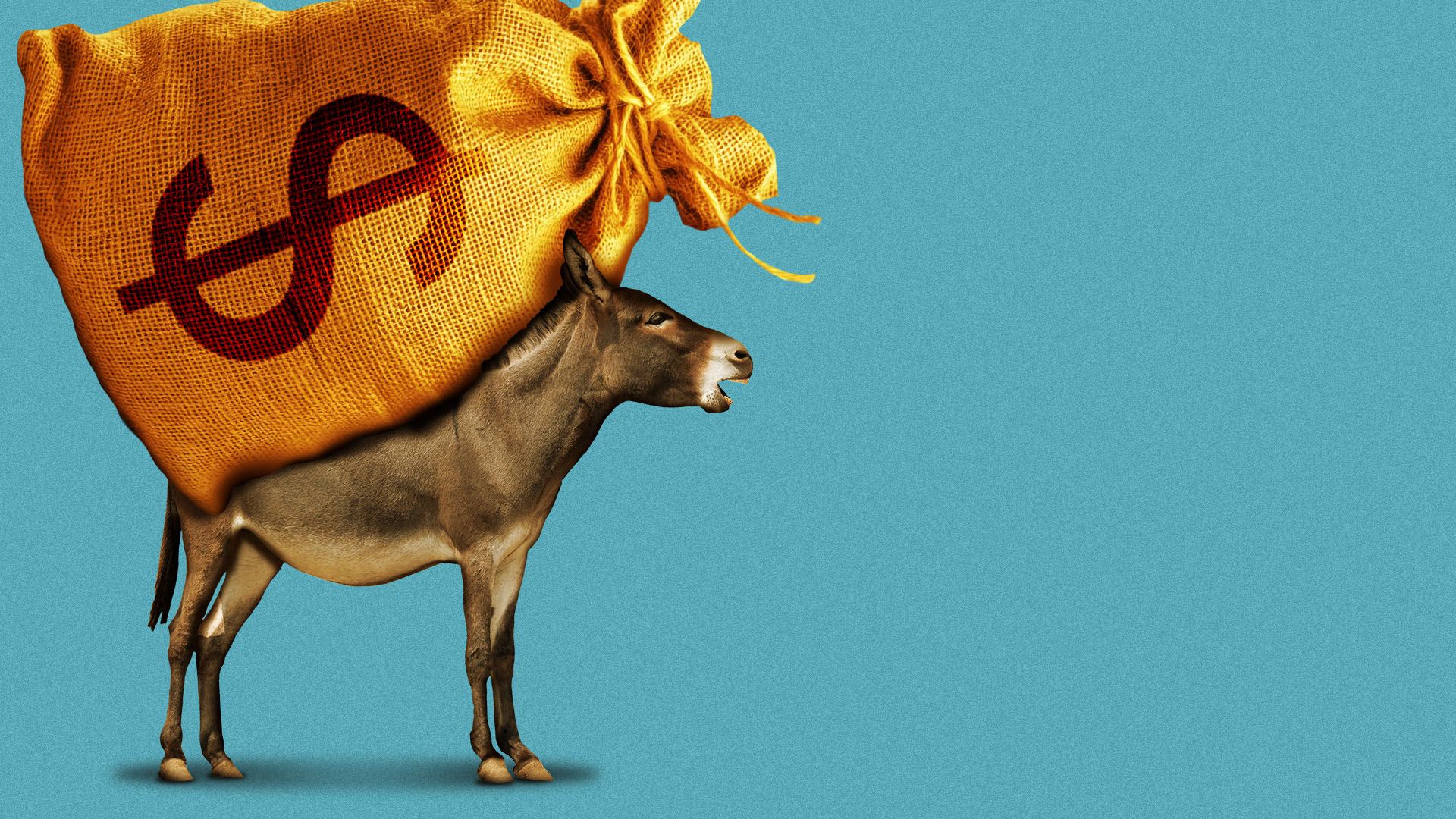 Illustration of a donkey carrying a large orange sack with a  dollar symbol on its back against a blue background