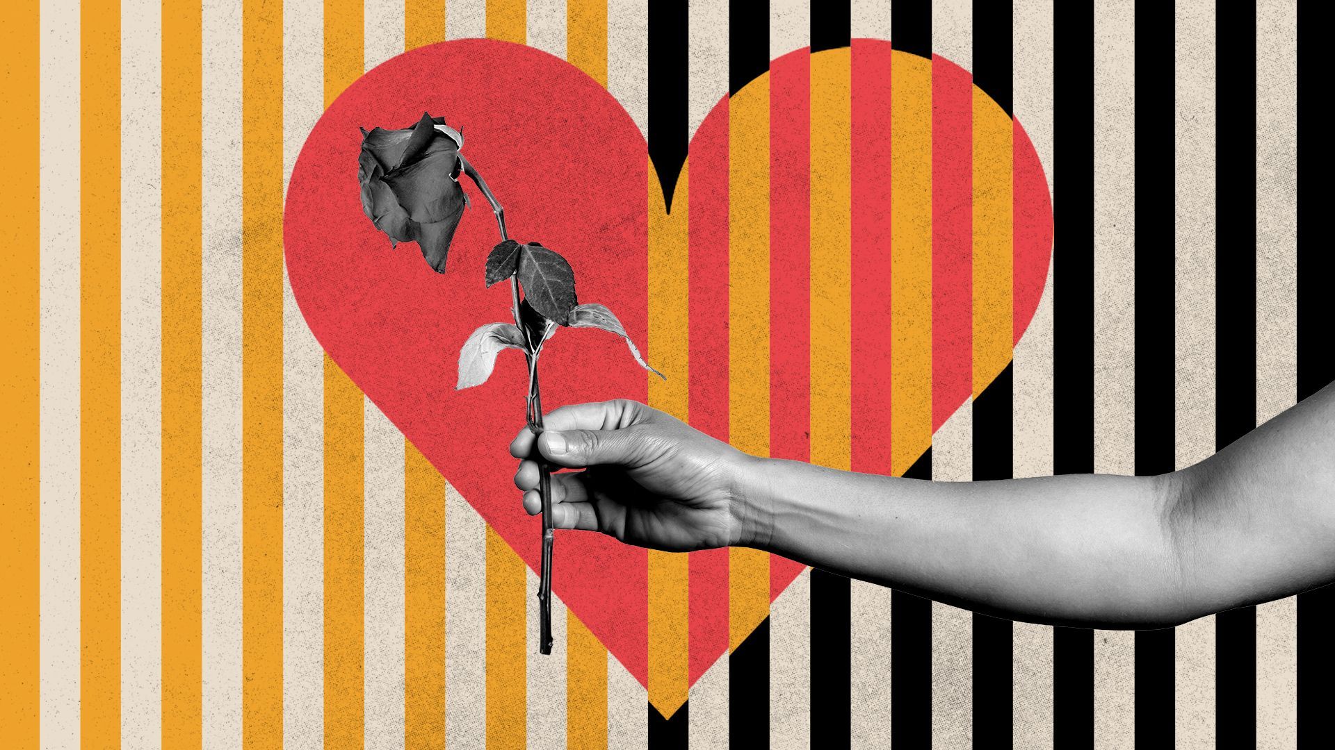 Illustration of a hand holding a wilted rose. 