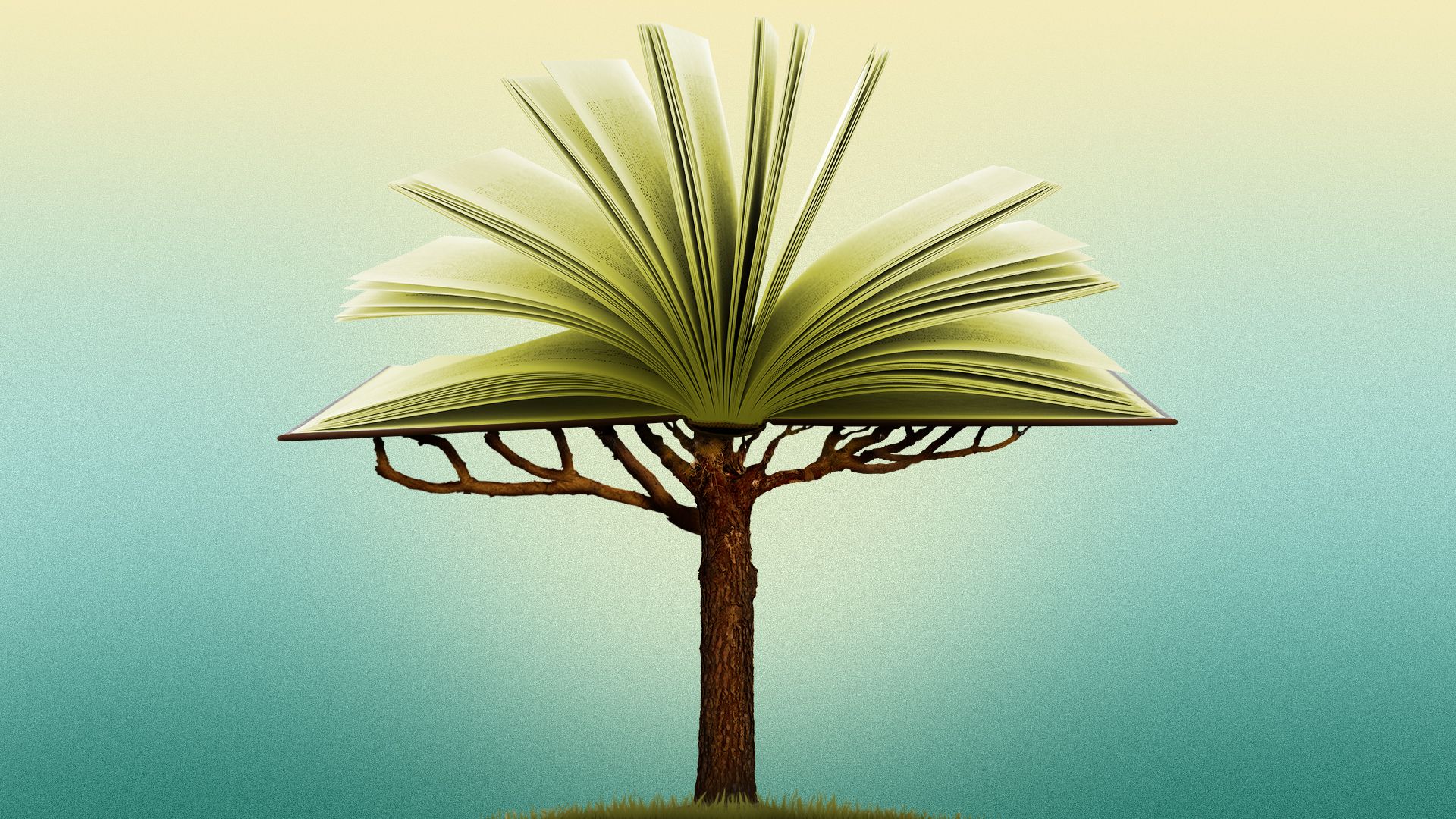 Illustration of a tree with the canopy made out of an open book
