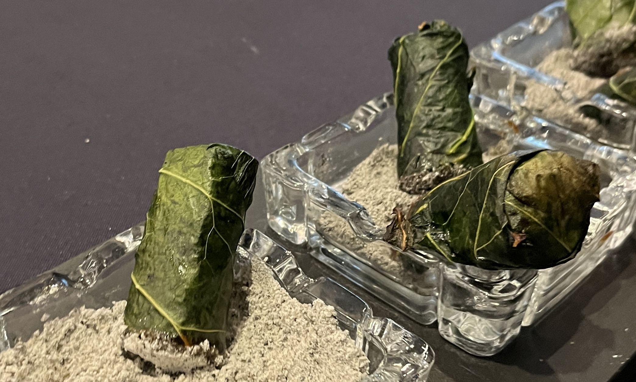 Green leaves rolled and standing upright in clear glass ashtrays filled with grey ash on a dark surface.