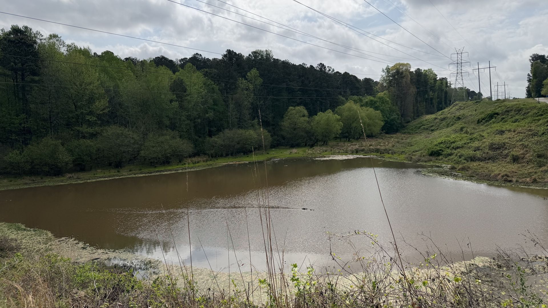 Rural scene with a brown pond edged by dense green trees; a grassy slope on the right hosts power lines and tall towers along a road, while cloudy skies loom overhead.