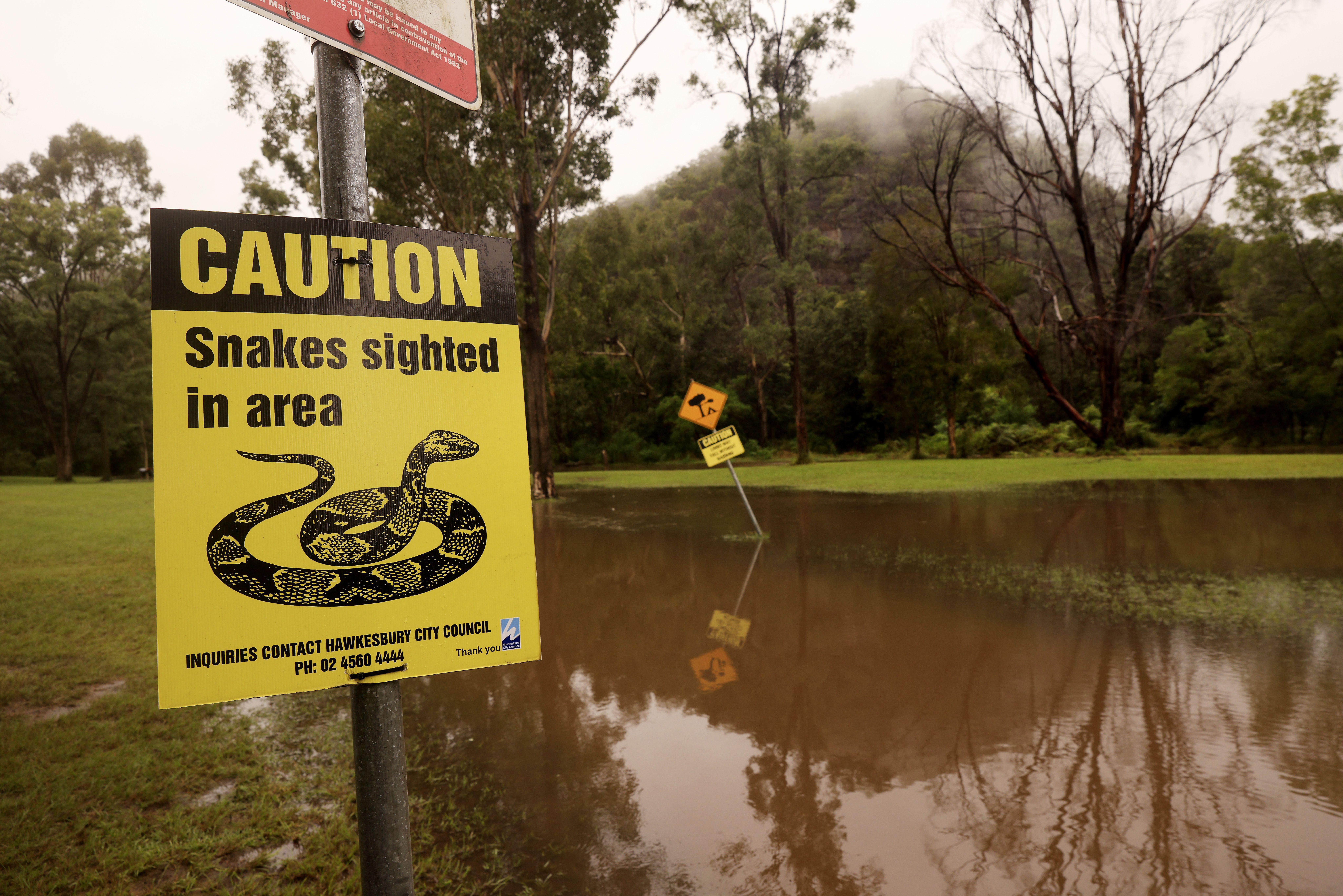 A flooded reserve in Colo, Australia on March 23. 