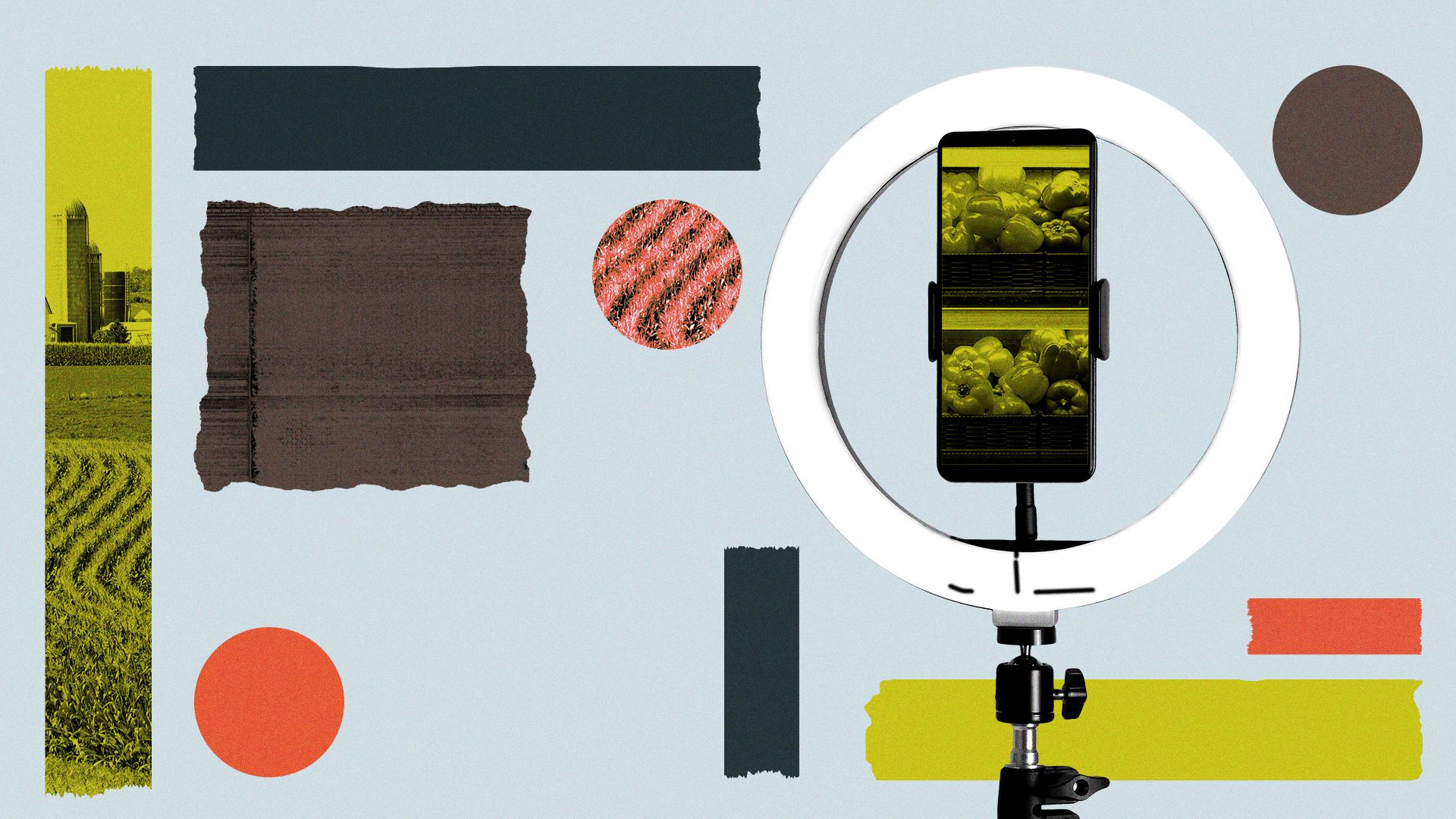 Illustration of a smartphone held in a ring light stand collage with various textured, colorful geometric shapes and images of farmlands and produce.