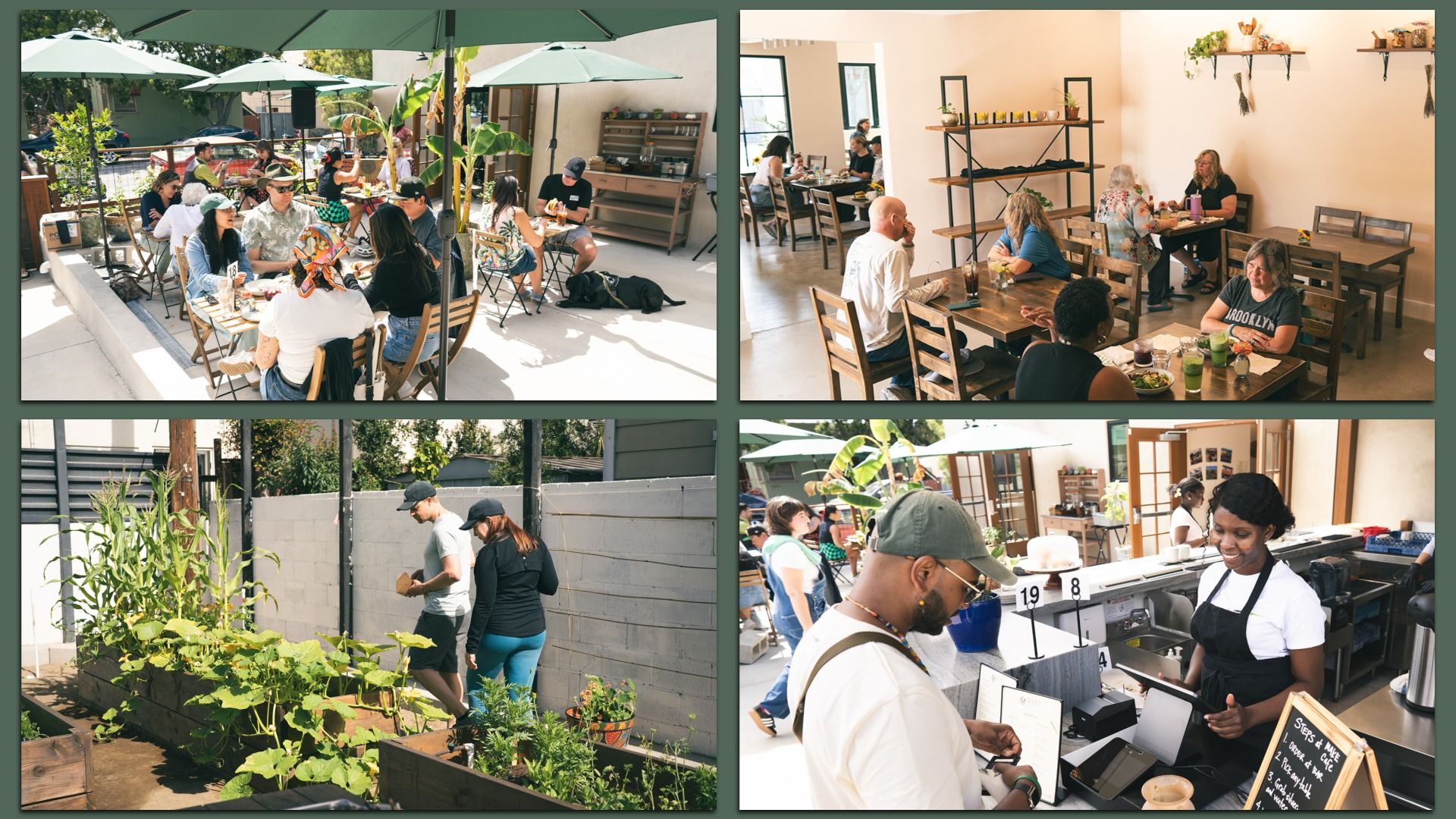 Quadruple collage: outdoor cafe with green umbrellas and diners; bright indoor cafe with patrons at wooden tables; garden with tall plants; cafe counter with a smiling barista.