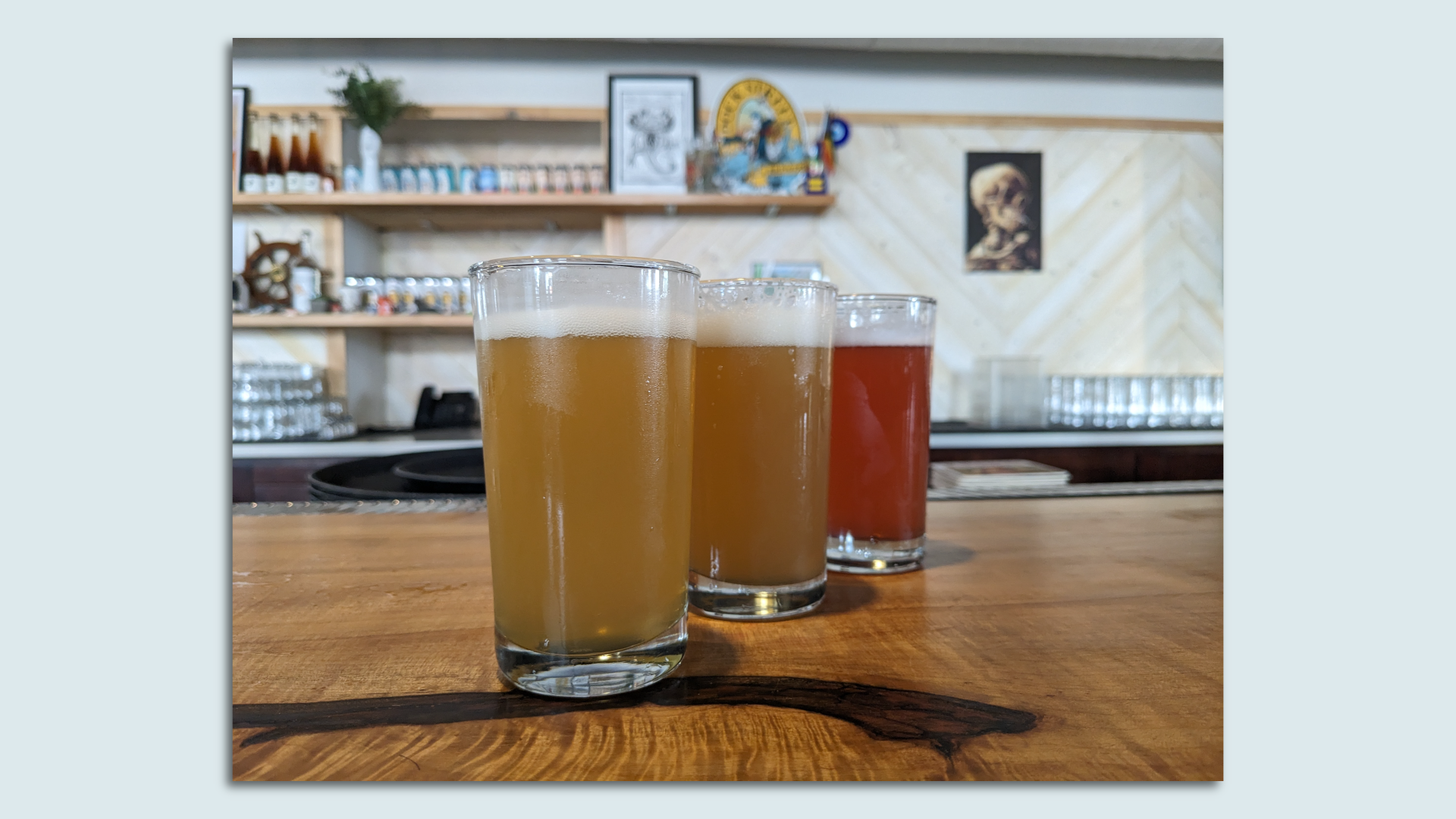 A trio of summer seasonal beers at Dock Street Brewery. 
